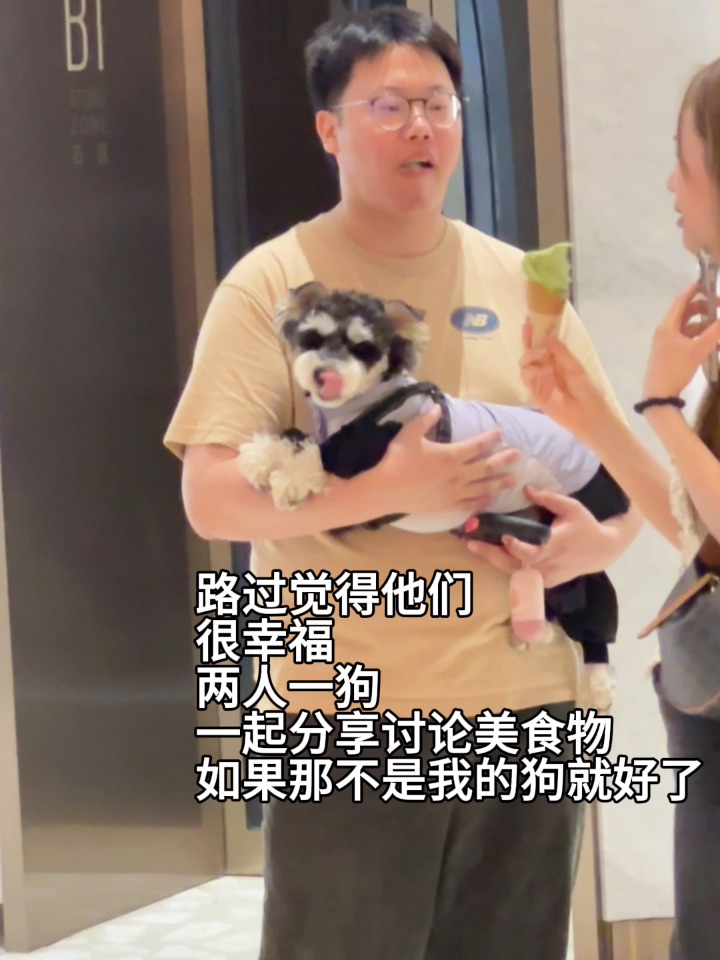 如果那不是我的狗就好了