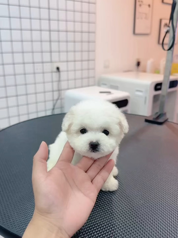 一眨眼就长大了呢