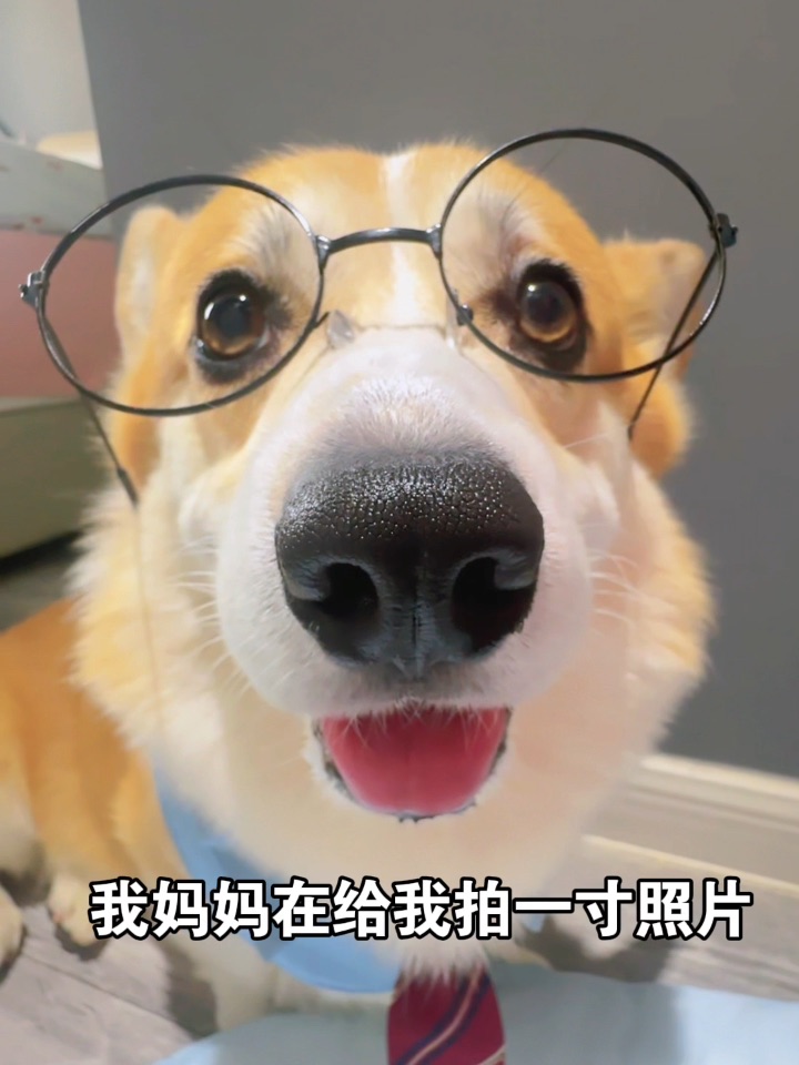 我妈妈说这样拍一寸照片显脸小📷