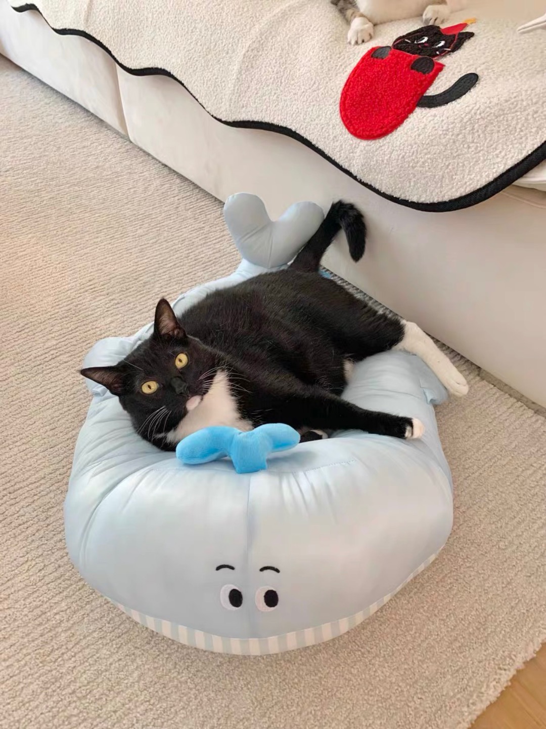 #测评/测评 可爱的鲸鱼猫窝，是很冰凉凉的材质，猫咪很喜欢上去趴着，也很凉快，很舒服。蓝色的超级夏天，材质好打理