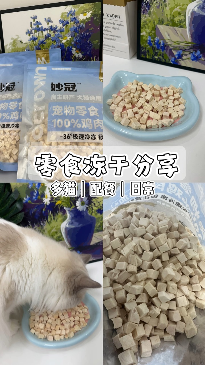 零食冻干分享