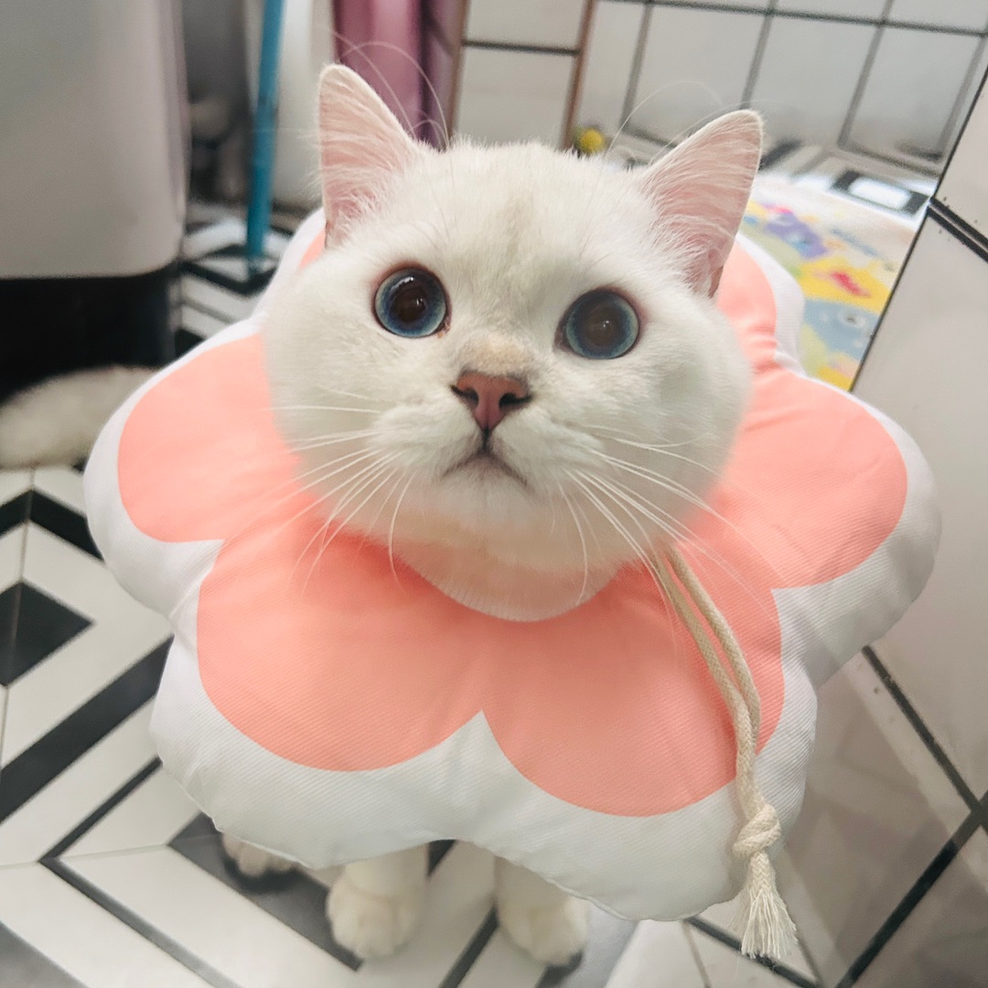 pk不上班