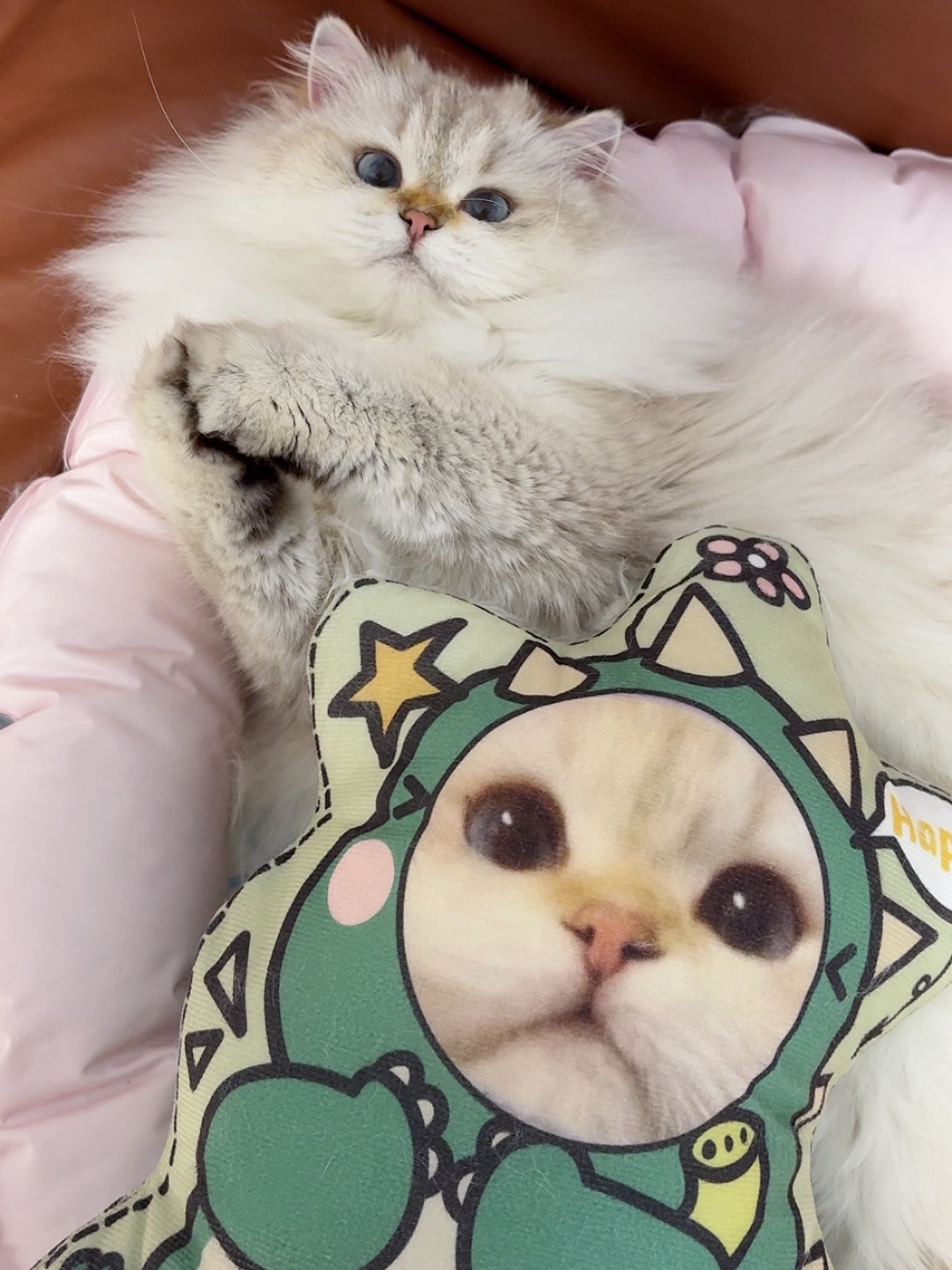 两个猫猫头