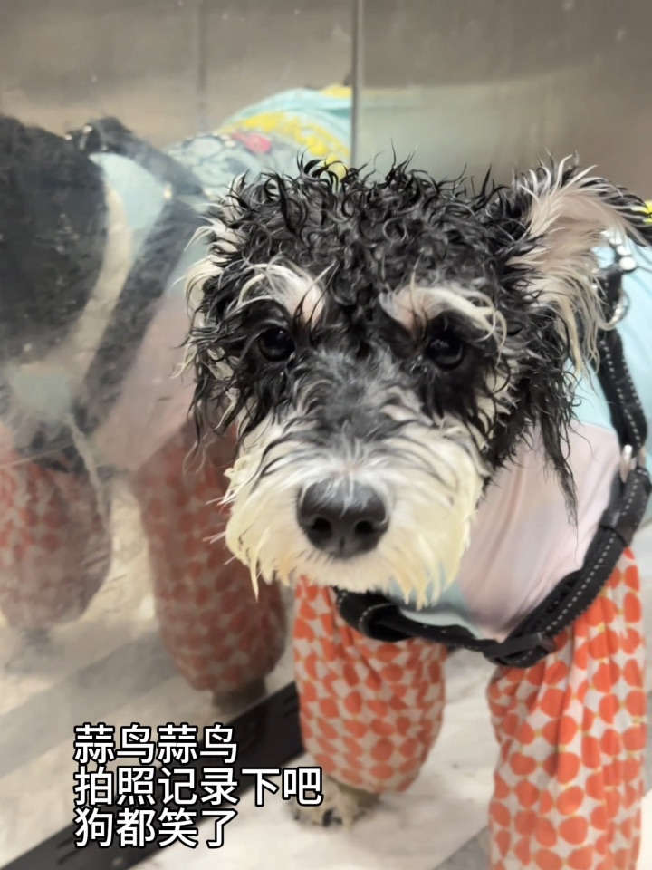 关于上海我有话说