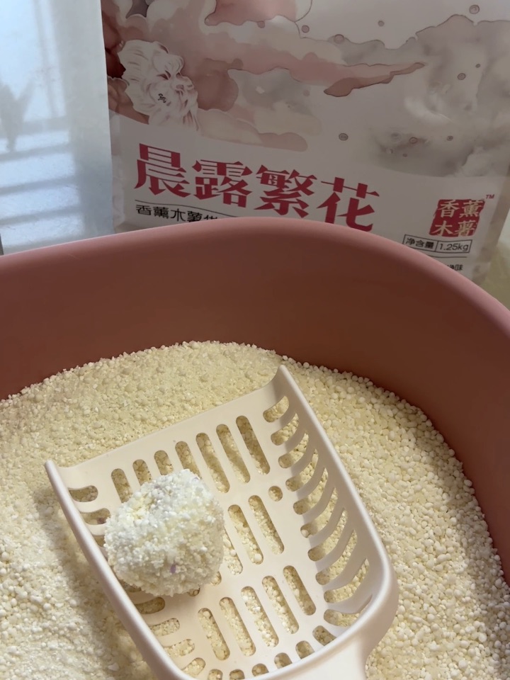 7月打卡1