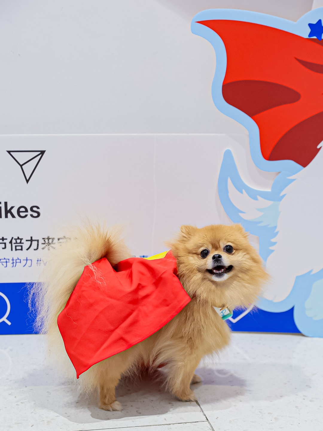 小抖去看电影了，开心