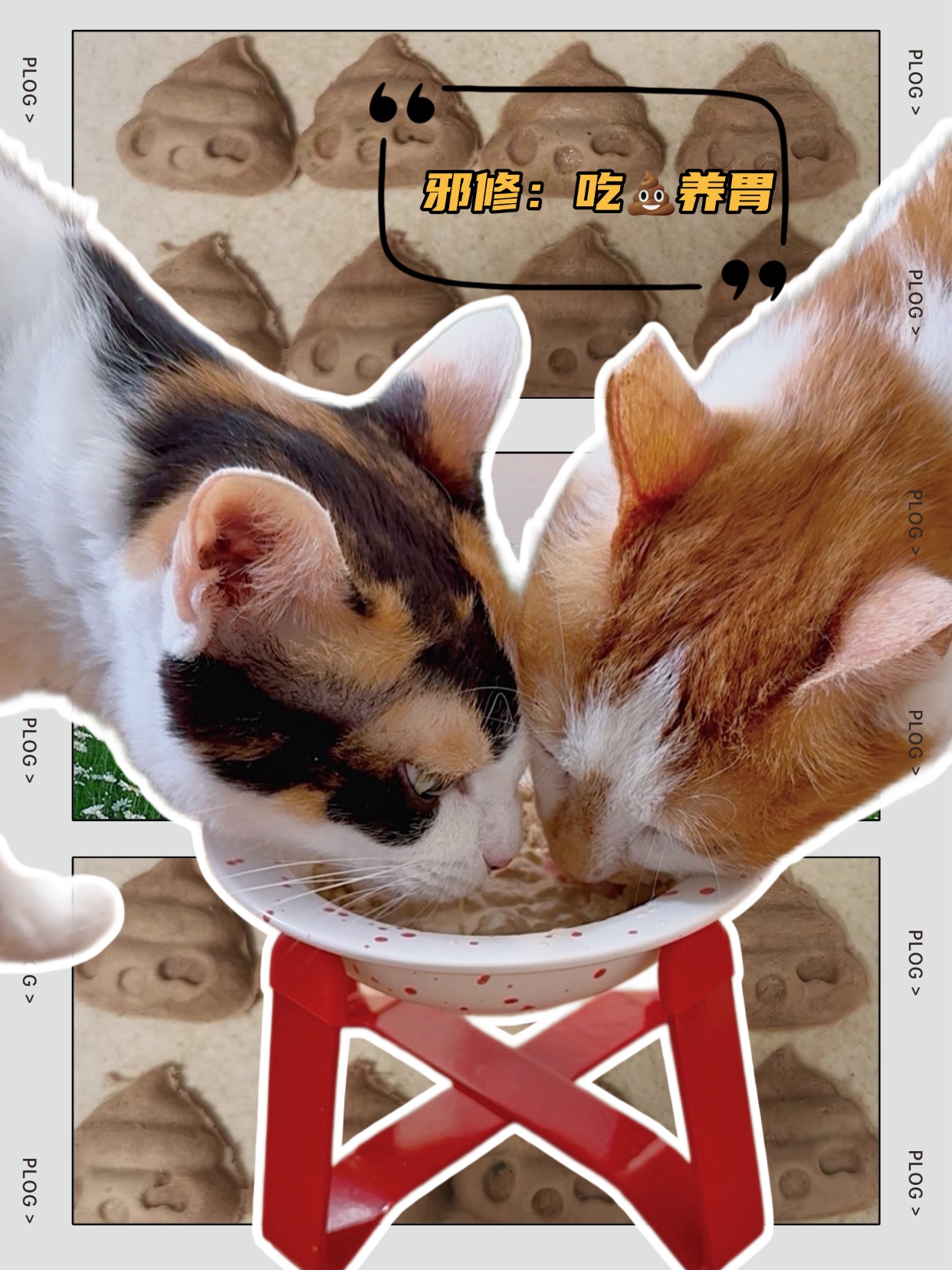 🛒 𝑉𝑙𝑜𝑔｜你还别说，邪修就是快啊！