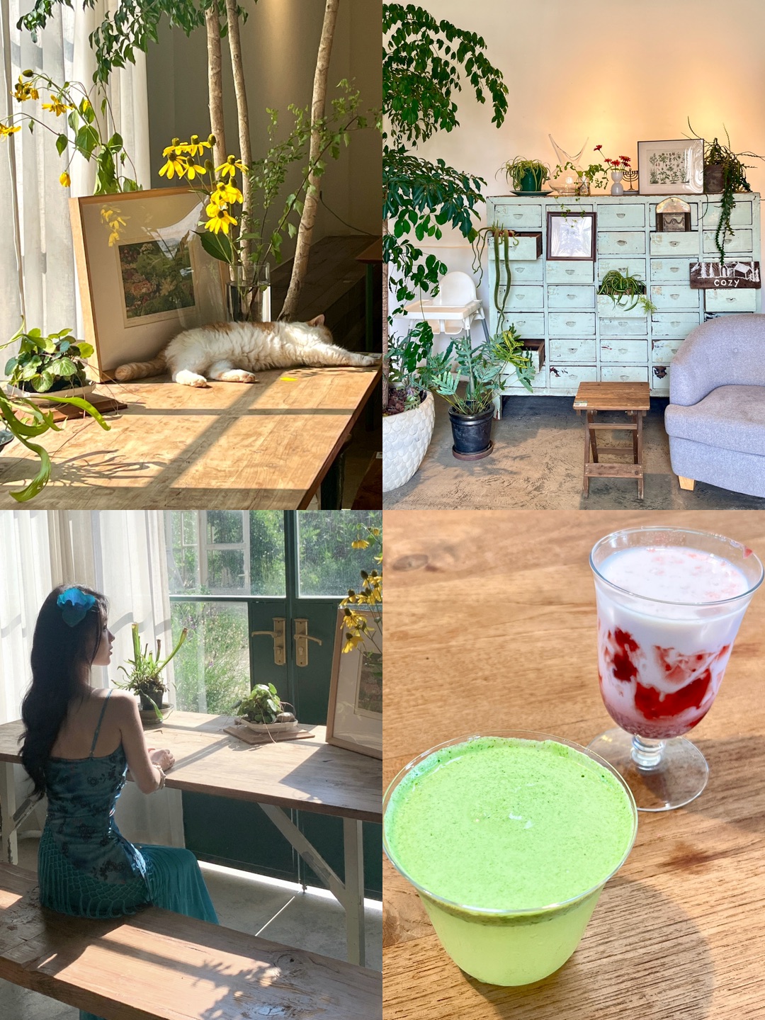 来赵露思打卡过的湖州cozy咖啡店啦☕️