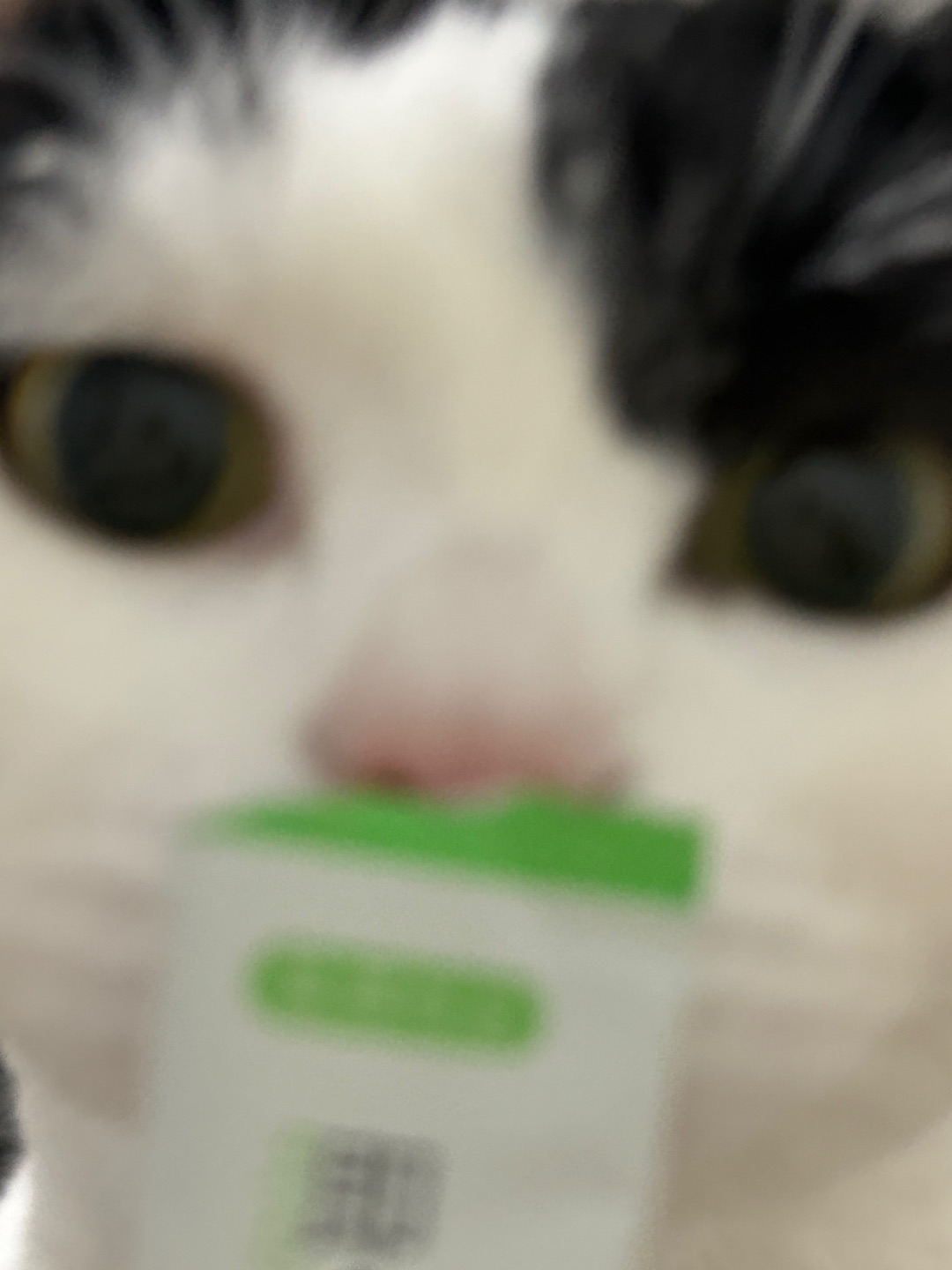 西五街