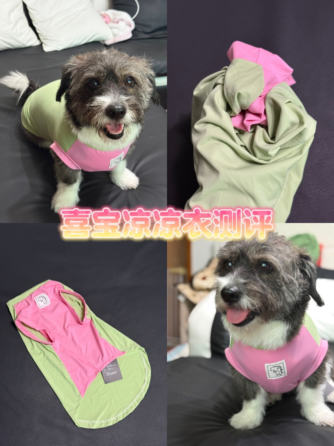 凉凉衣大测评