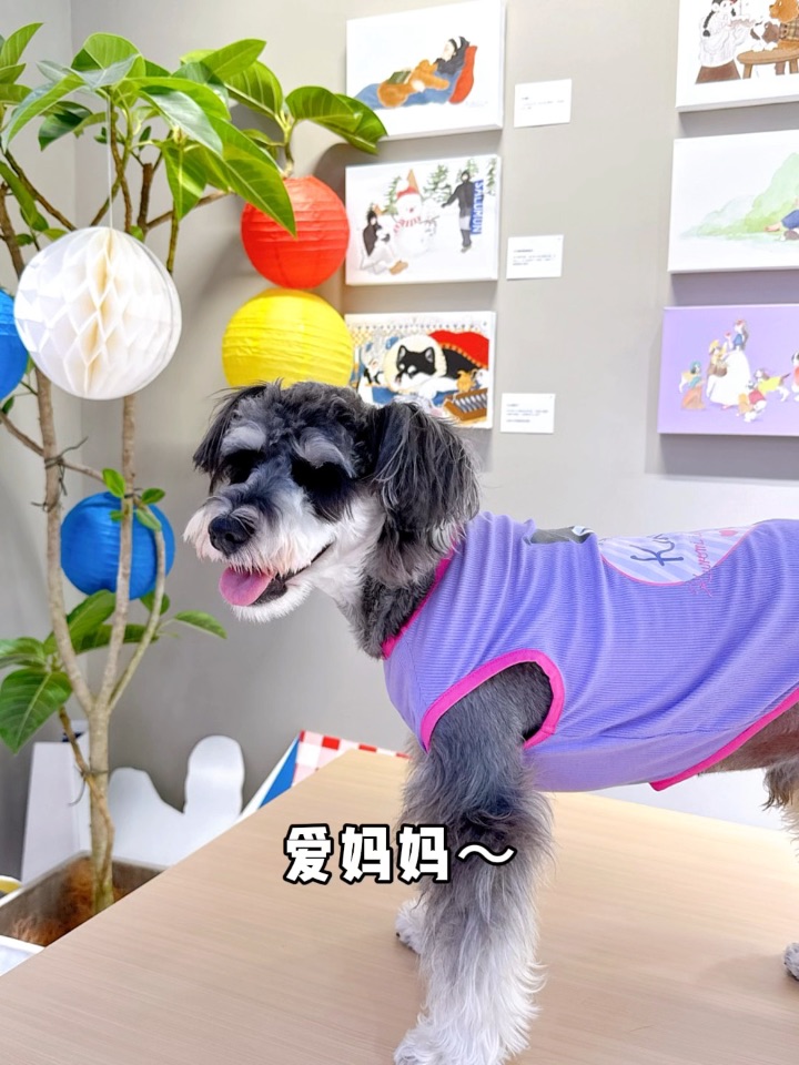 小斗要听妈妈的话～