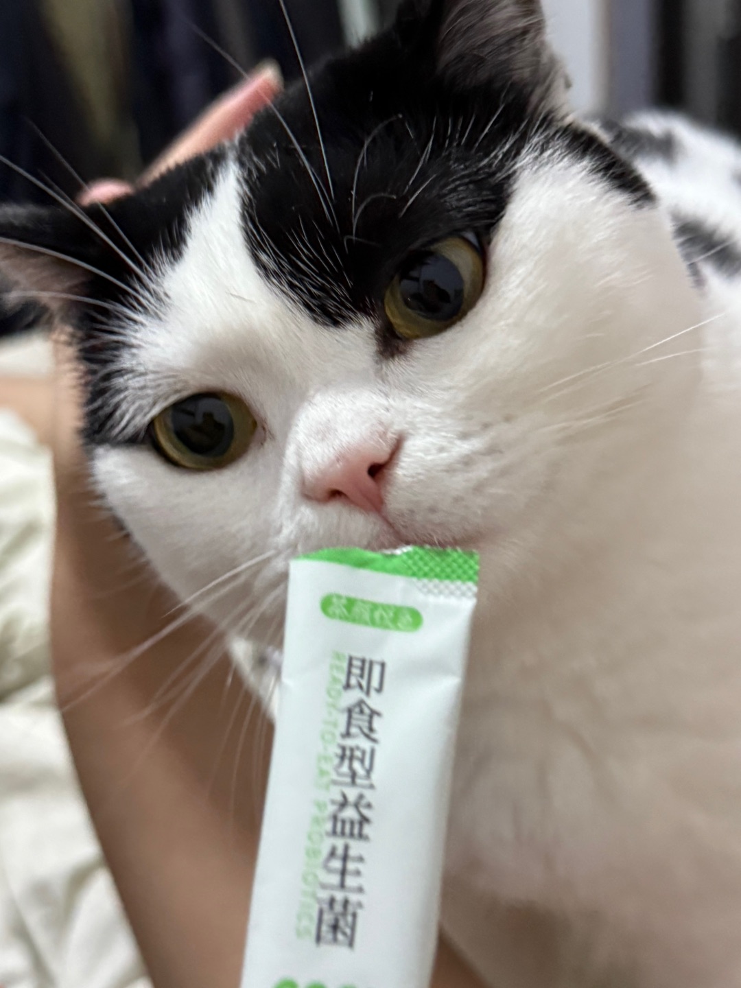 西五街