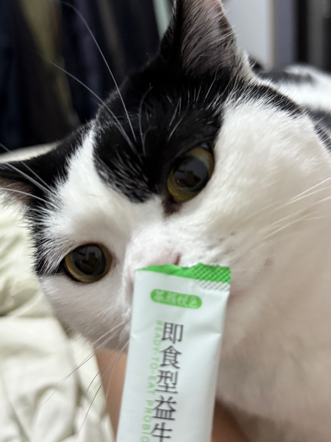 西五街
