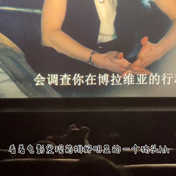 咦，怎么电影院有狗狗在看电影！