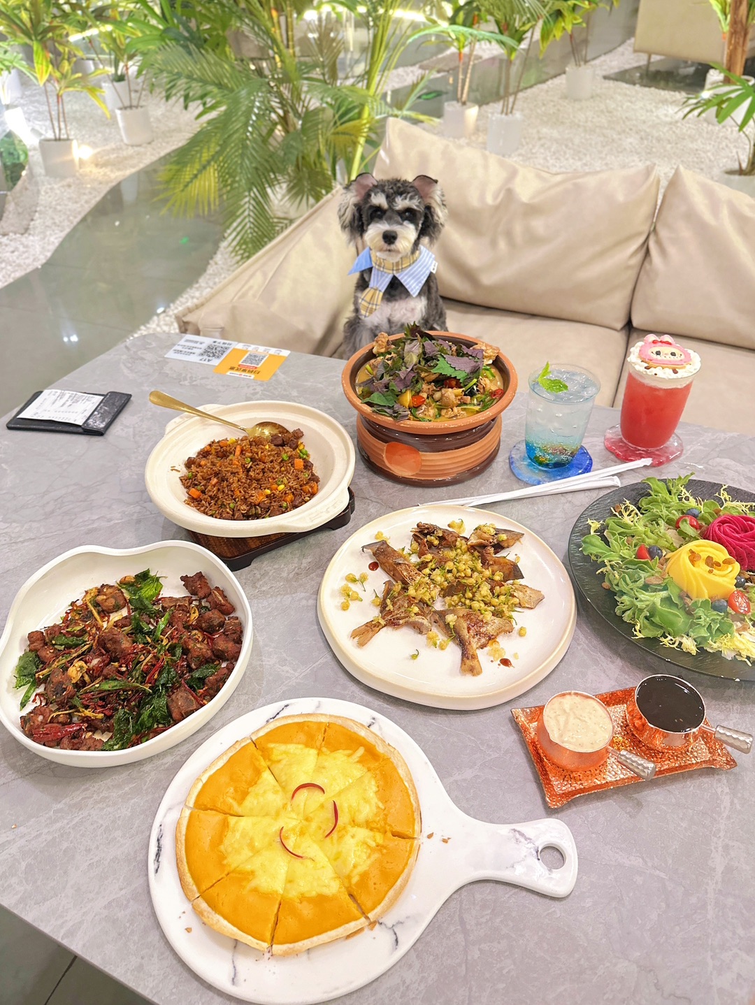 和小狗漂亮饭