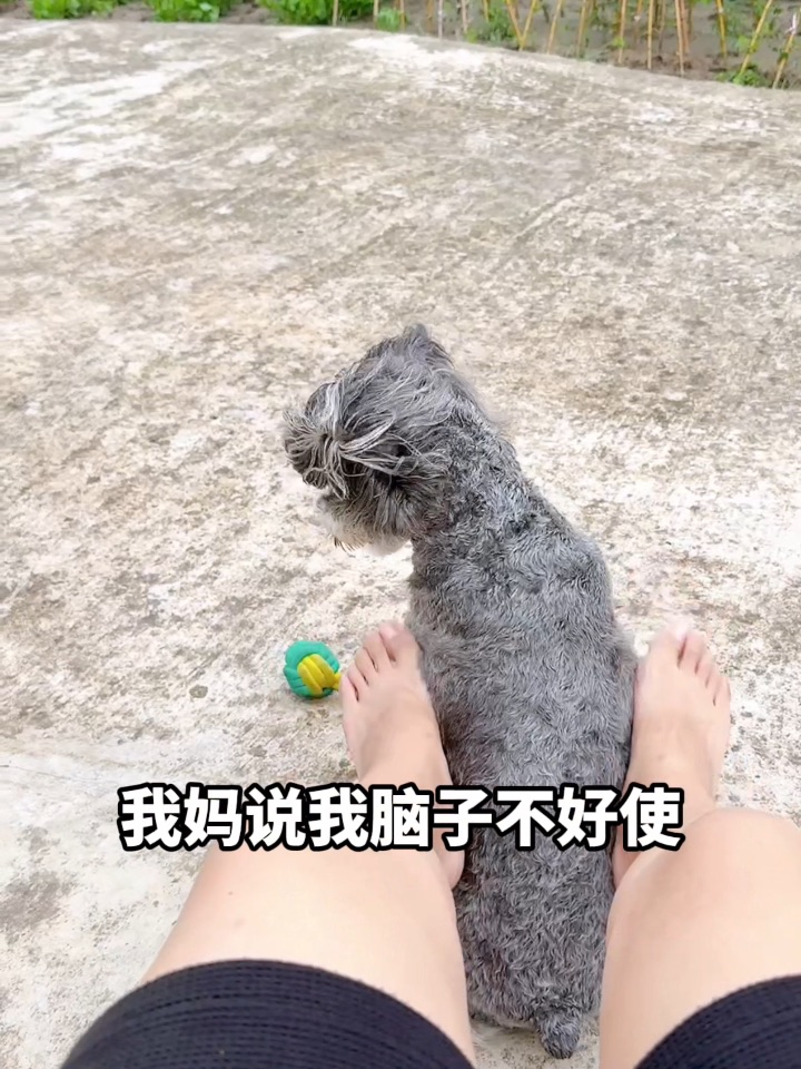 人，我的全自动按摩机