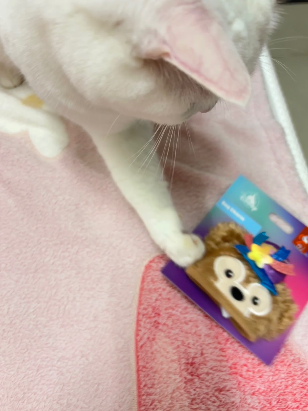 西五街