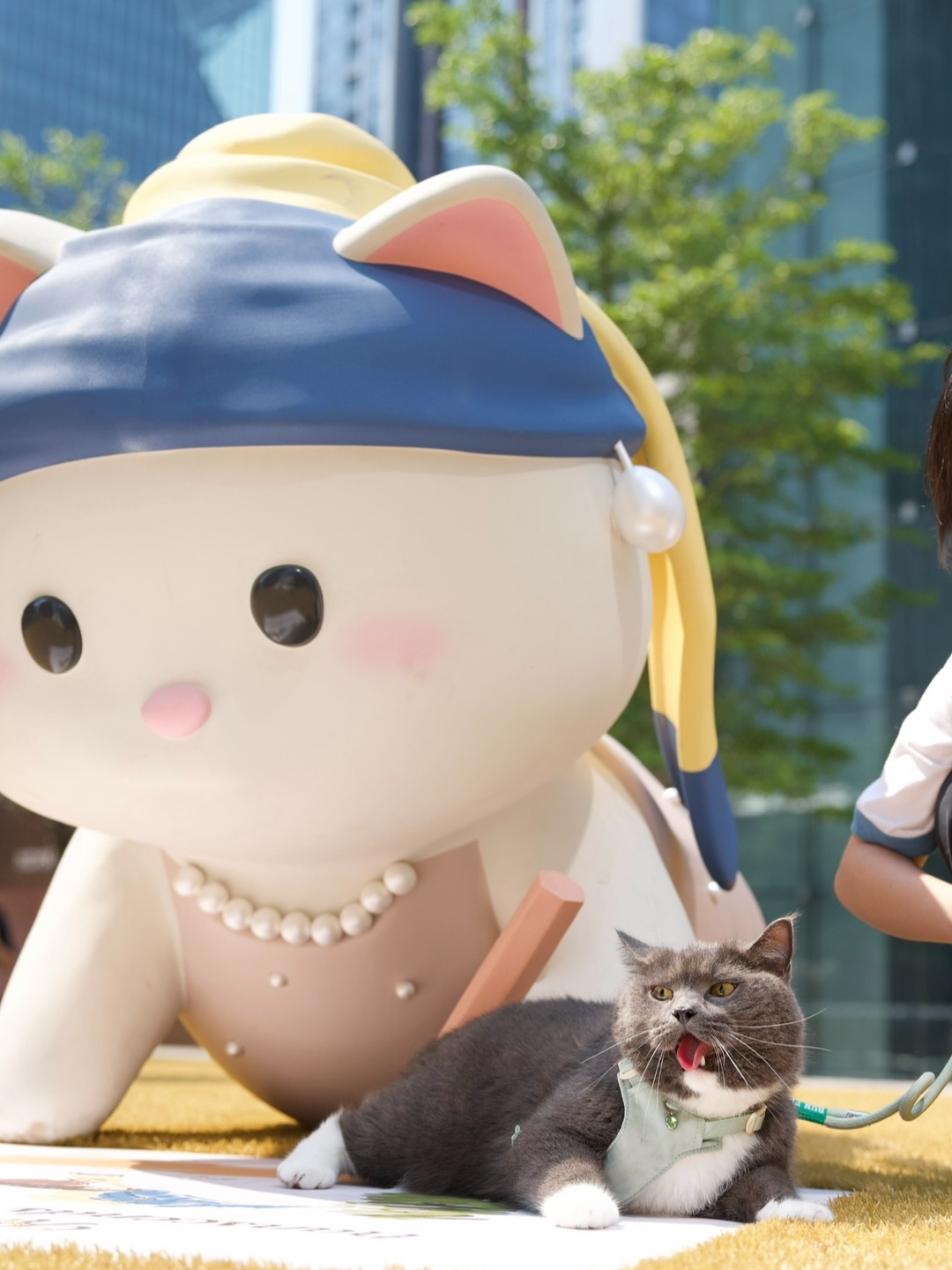 蓝胖子🐱