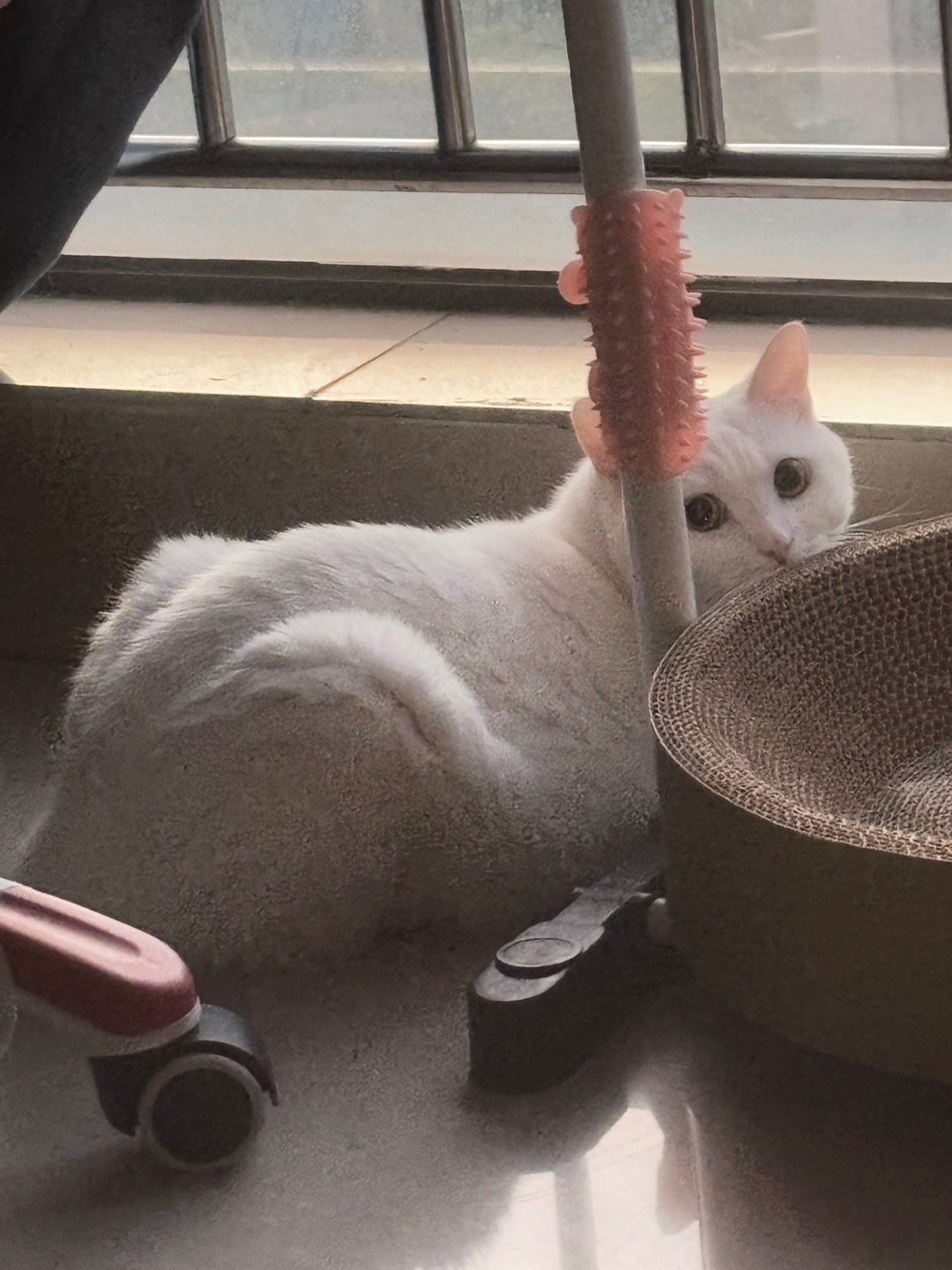 7月补卡8