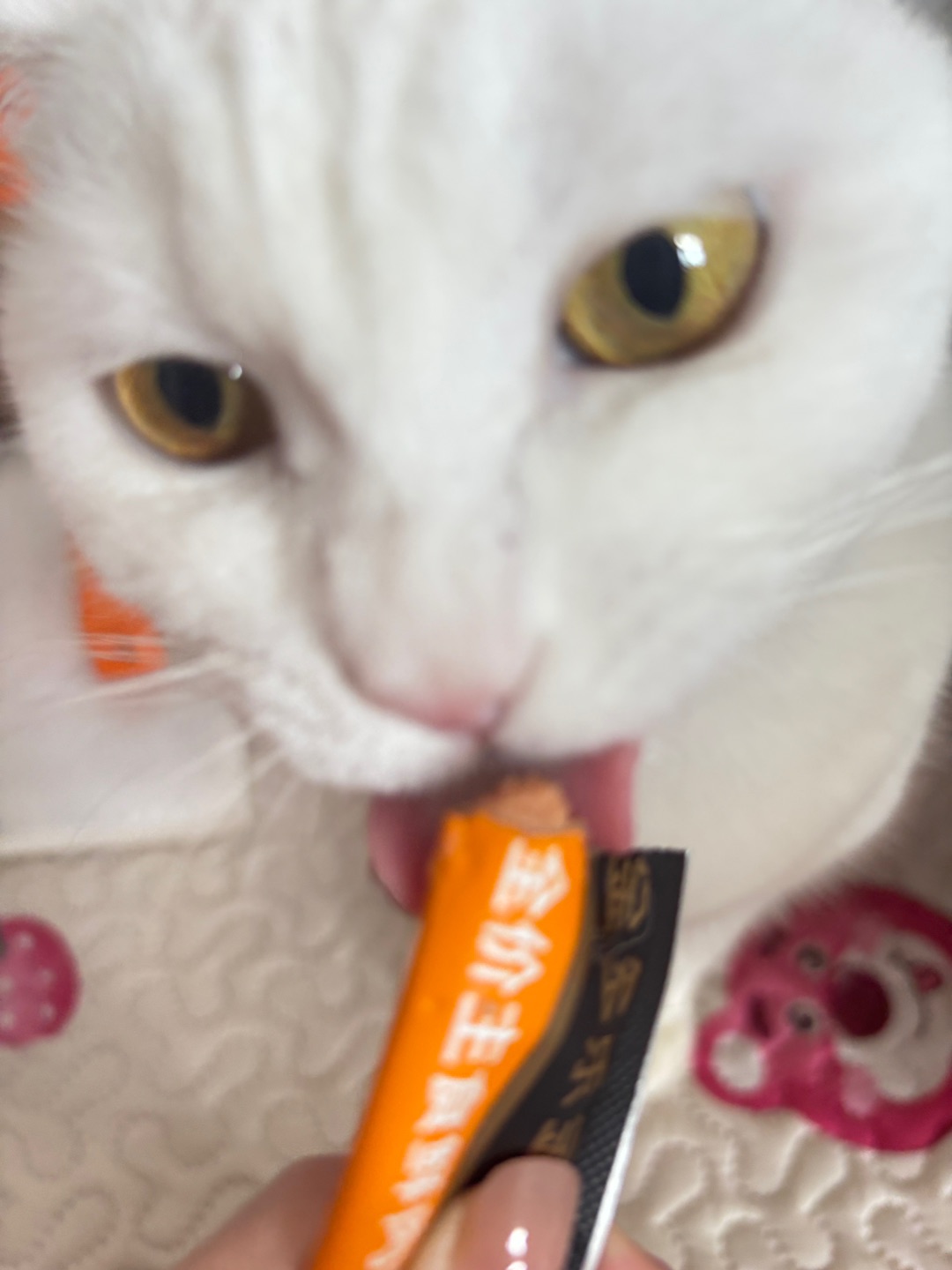 西五街