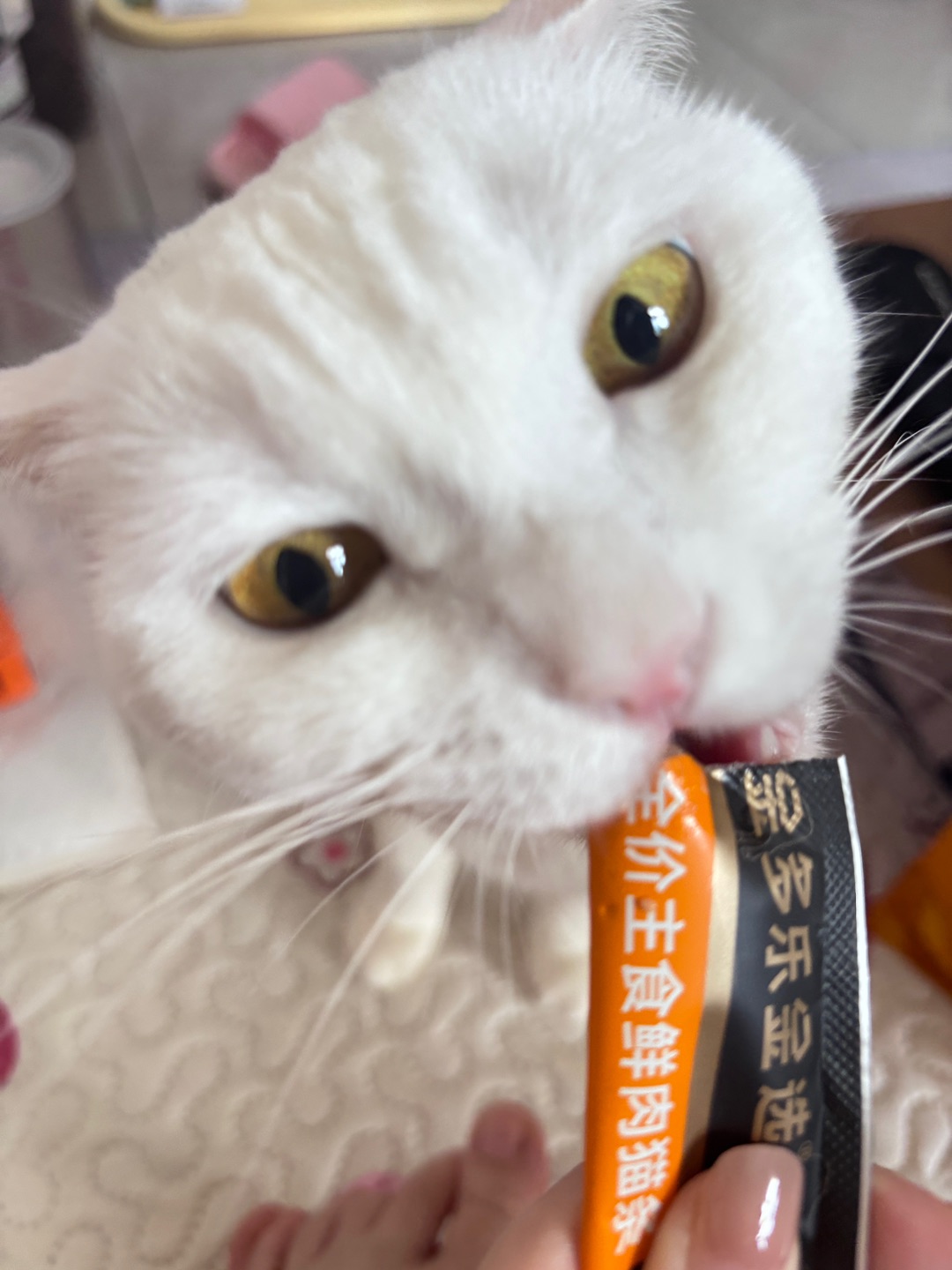 西五街