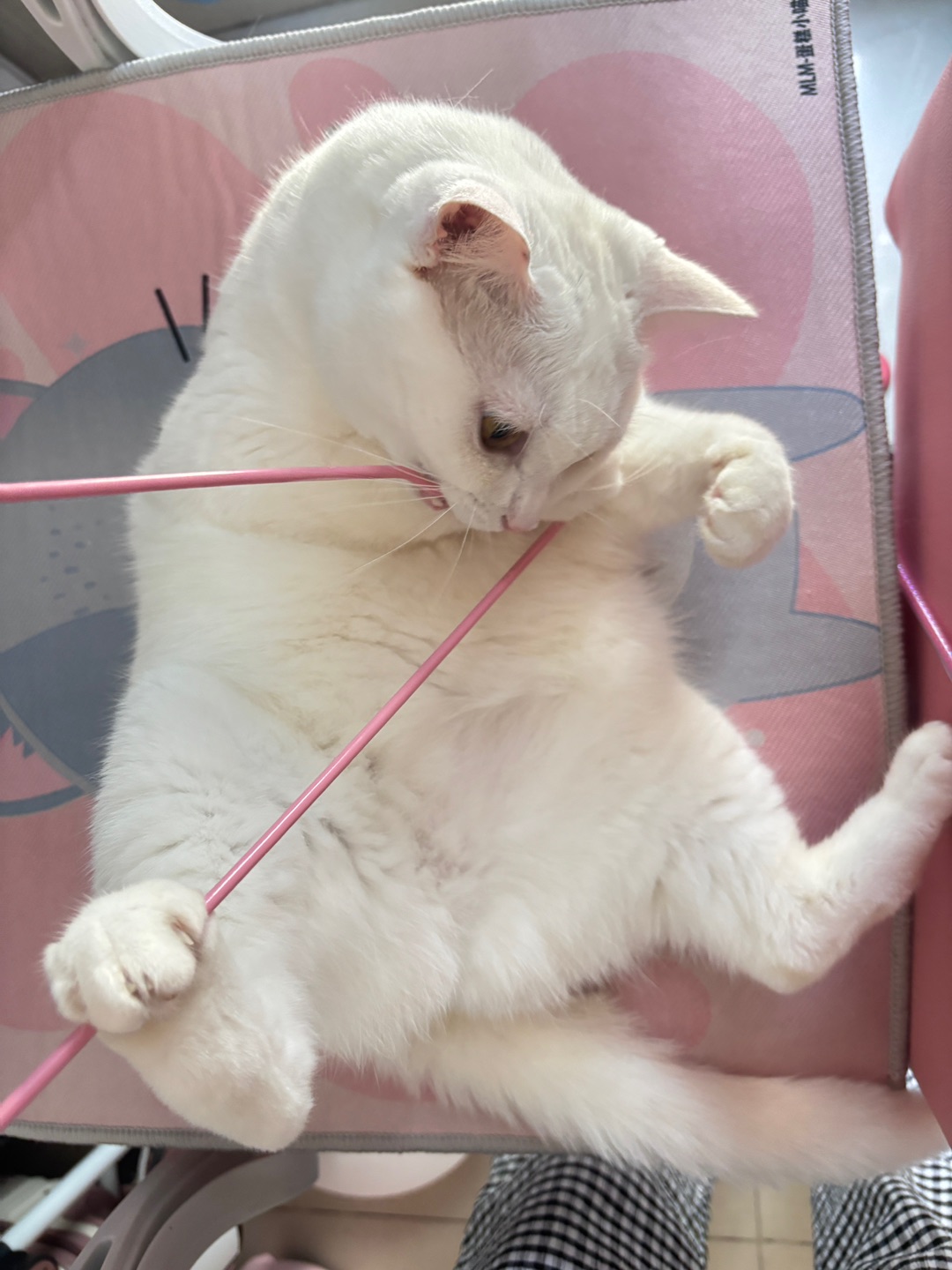 西五街