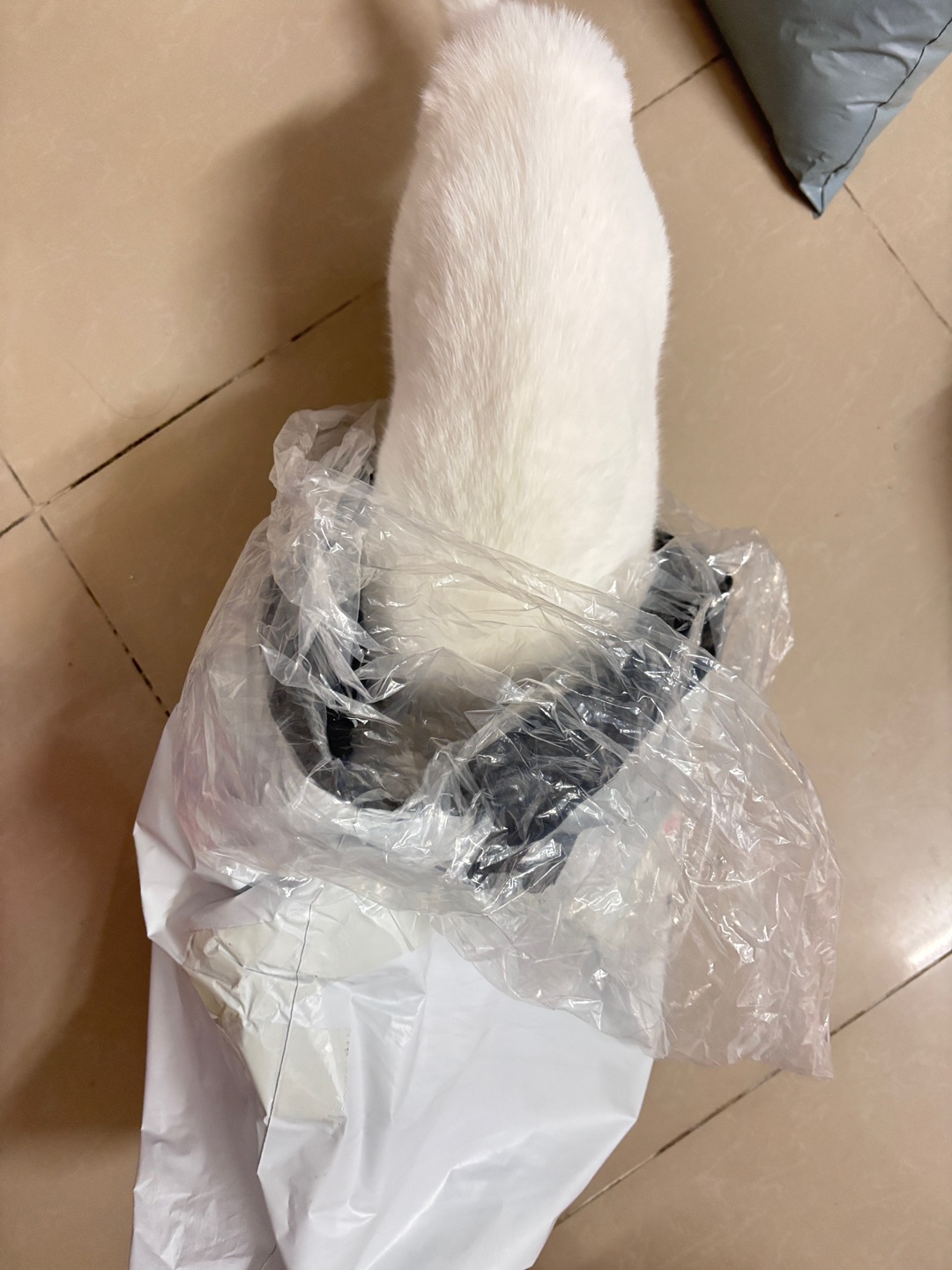 西五街
