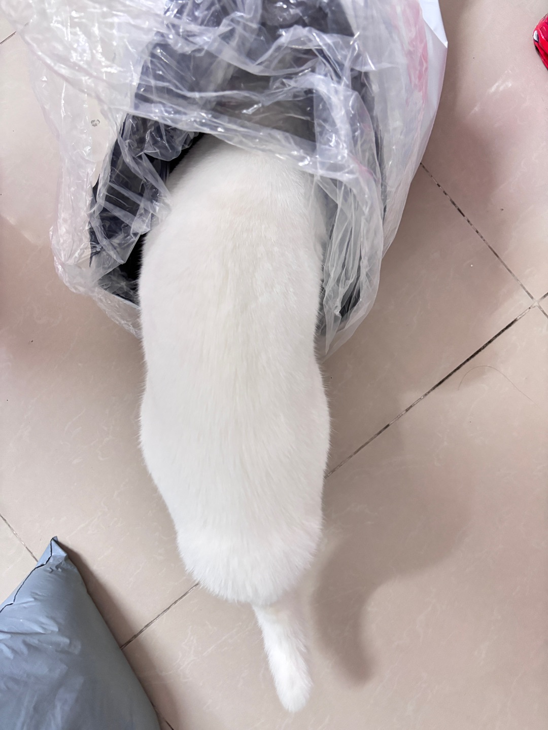 西五街