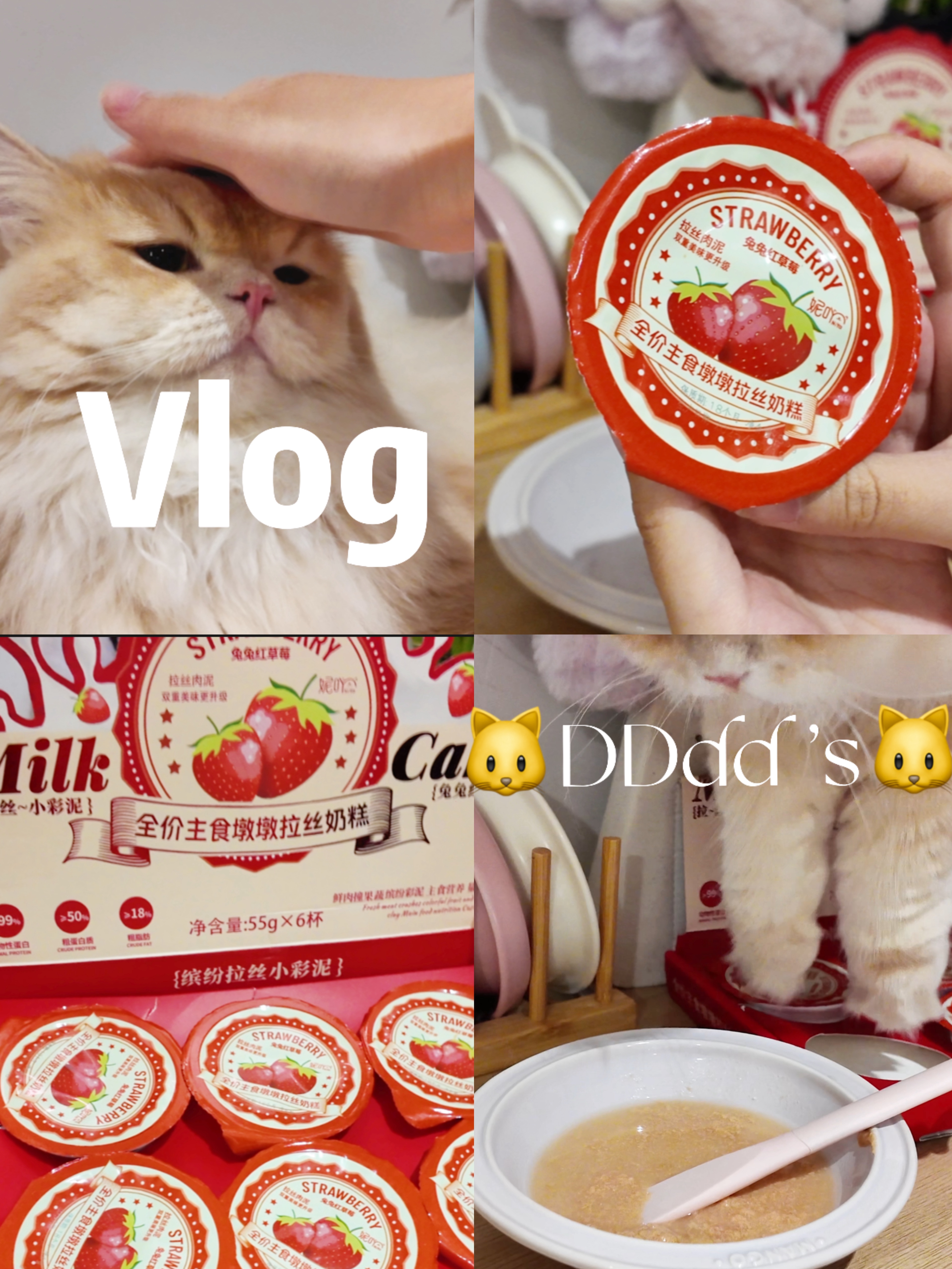 小猫日记🍓｜咪有属于自己的草莓牛乳
