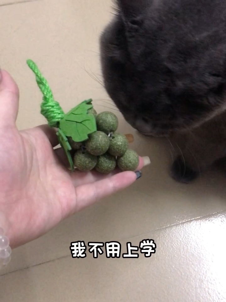 新玩具葡萄🍇串串