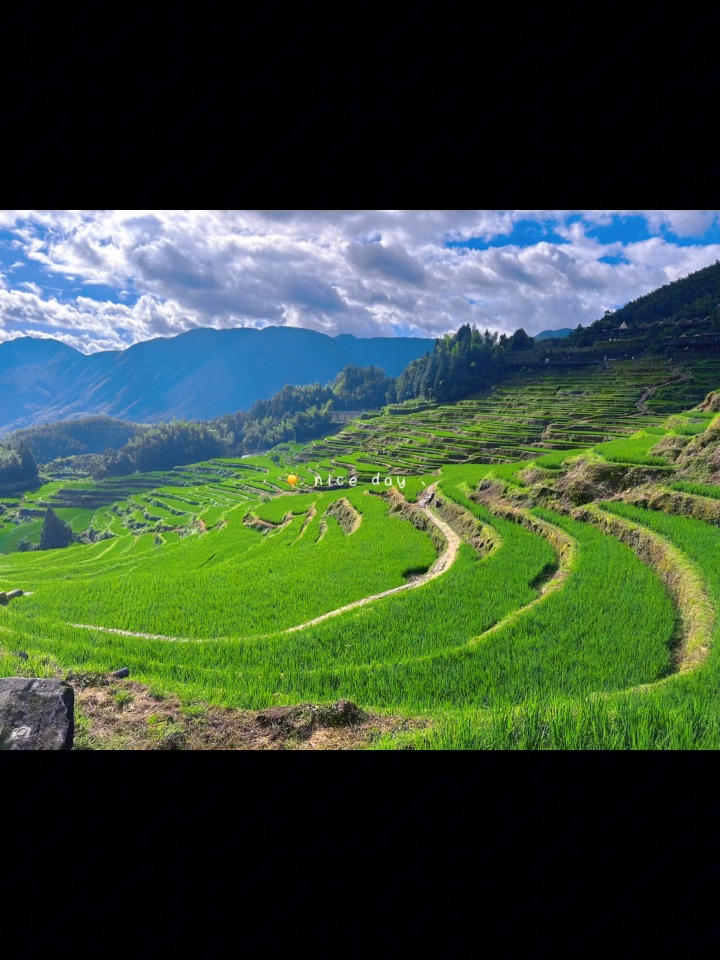 丽水、宁波vlog