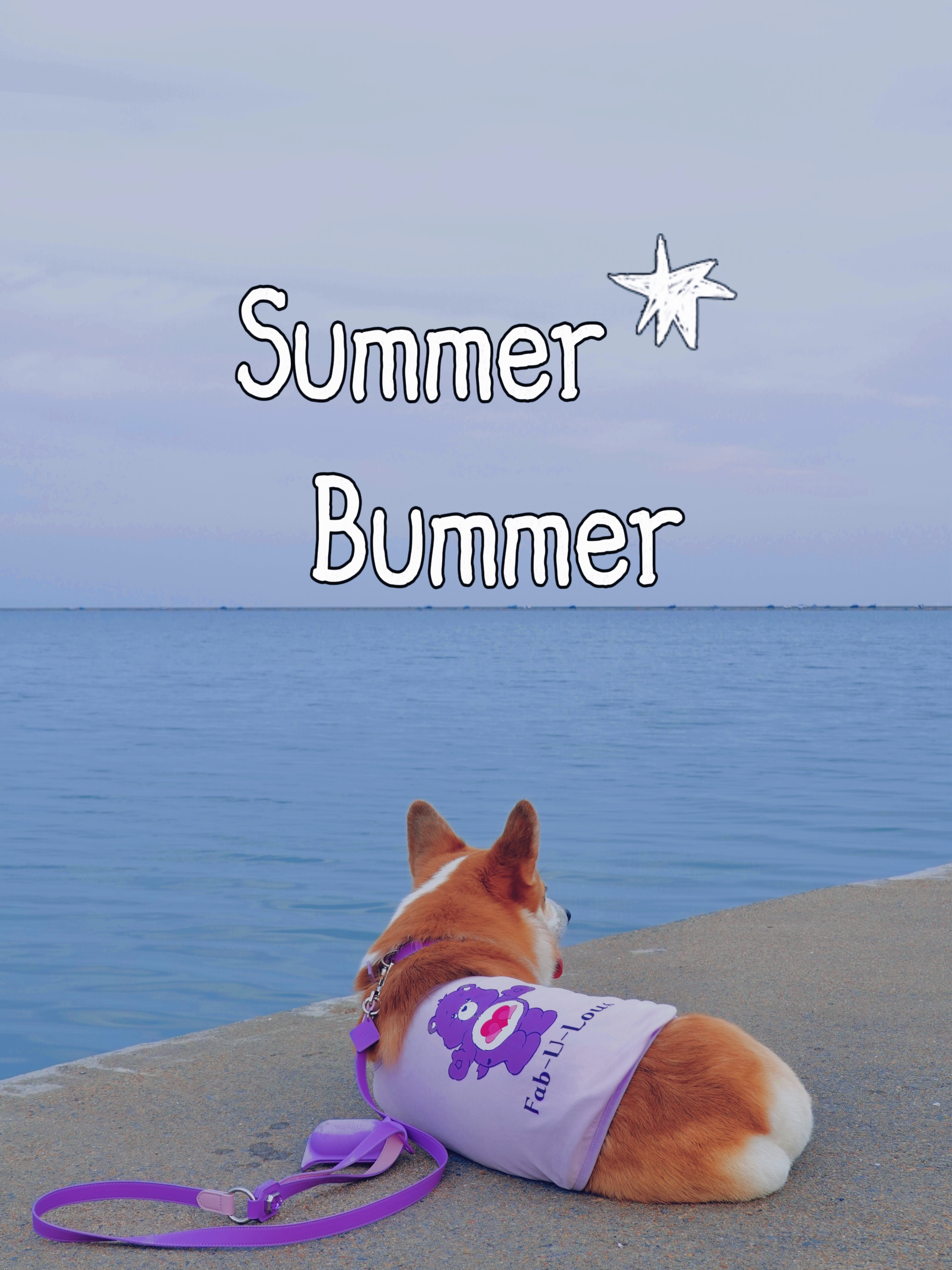 王安宇新歌《Summer Bummer》太适合小狗啦💜