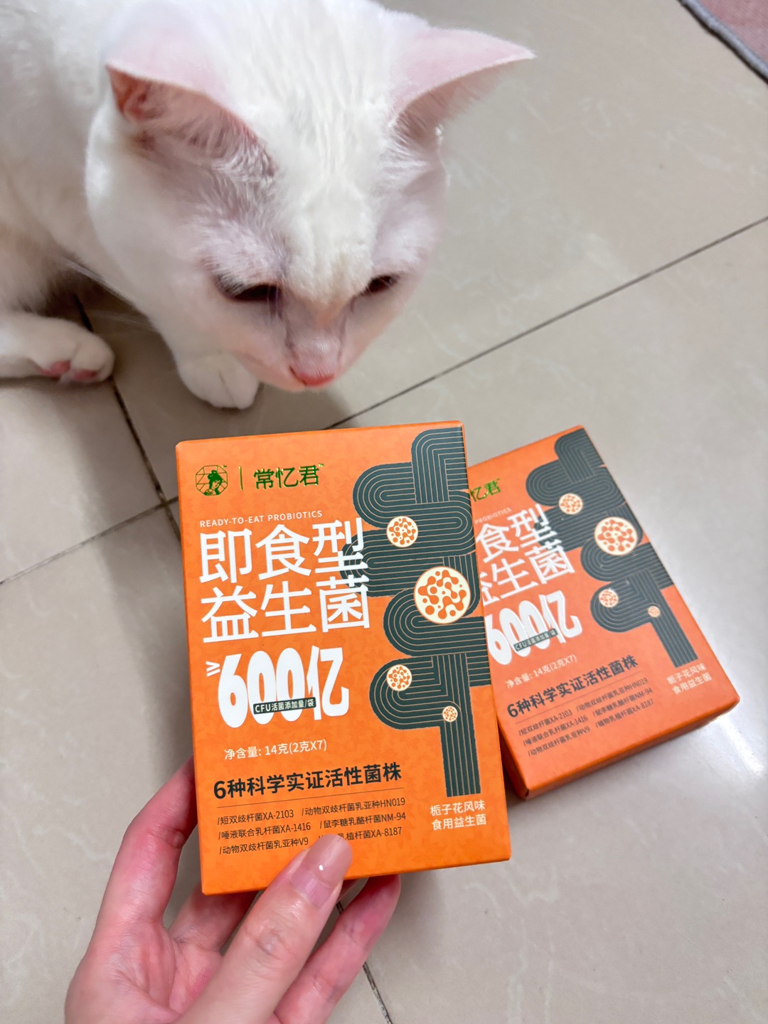 西五街