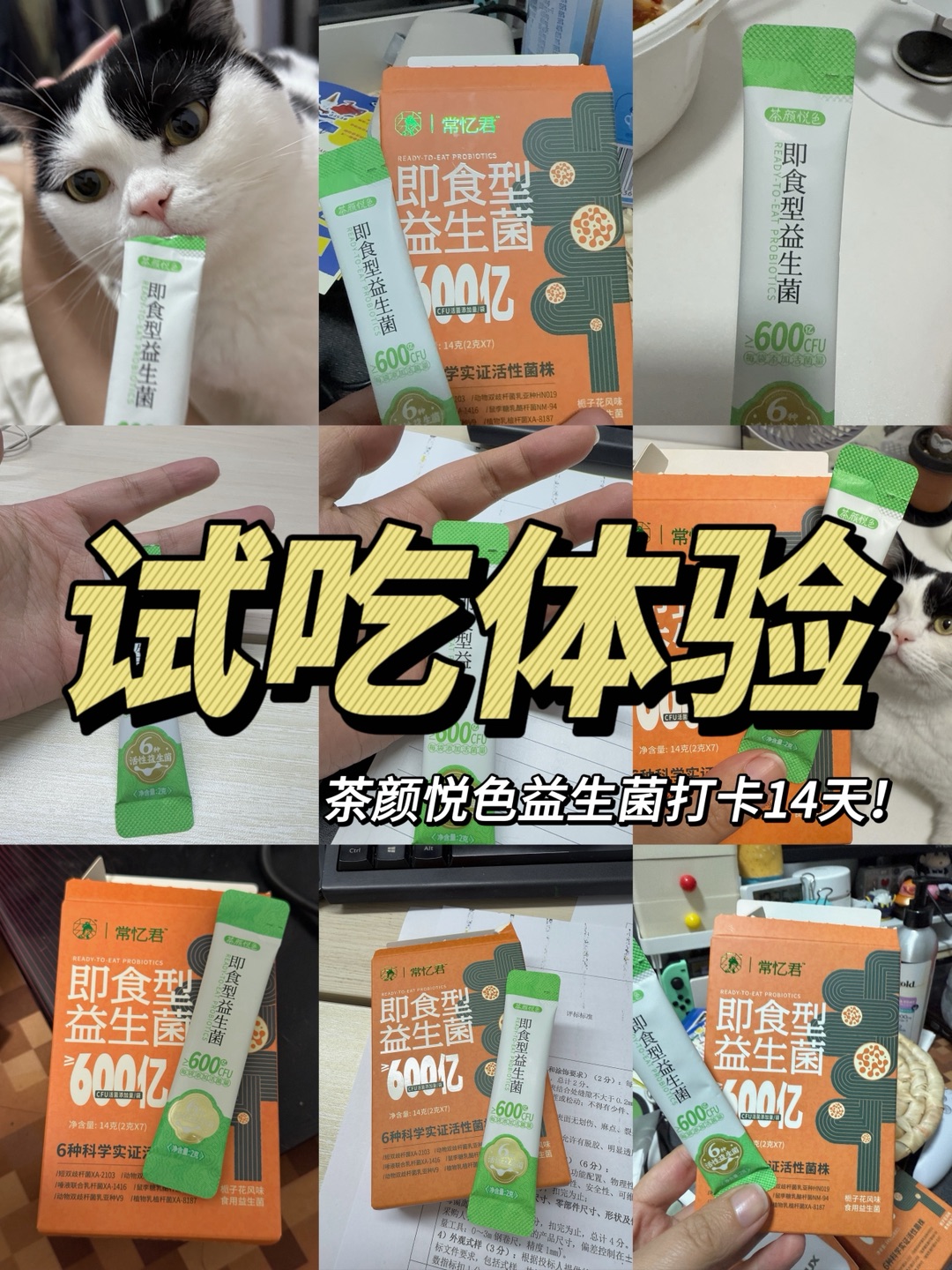 🍵茶颜益生菌14天打卡结束！