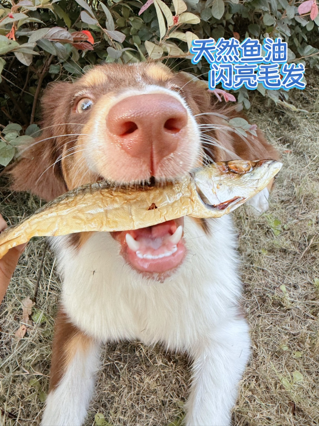 西五街