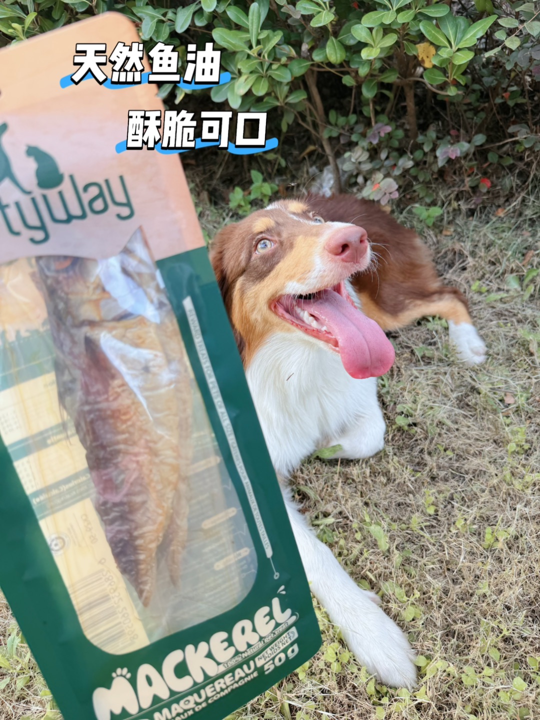 西五街