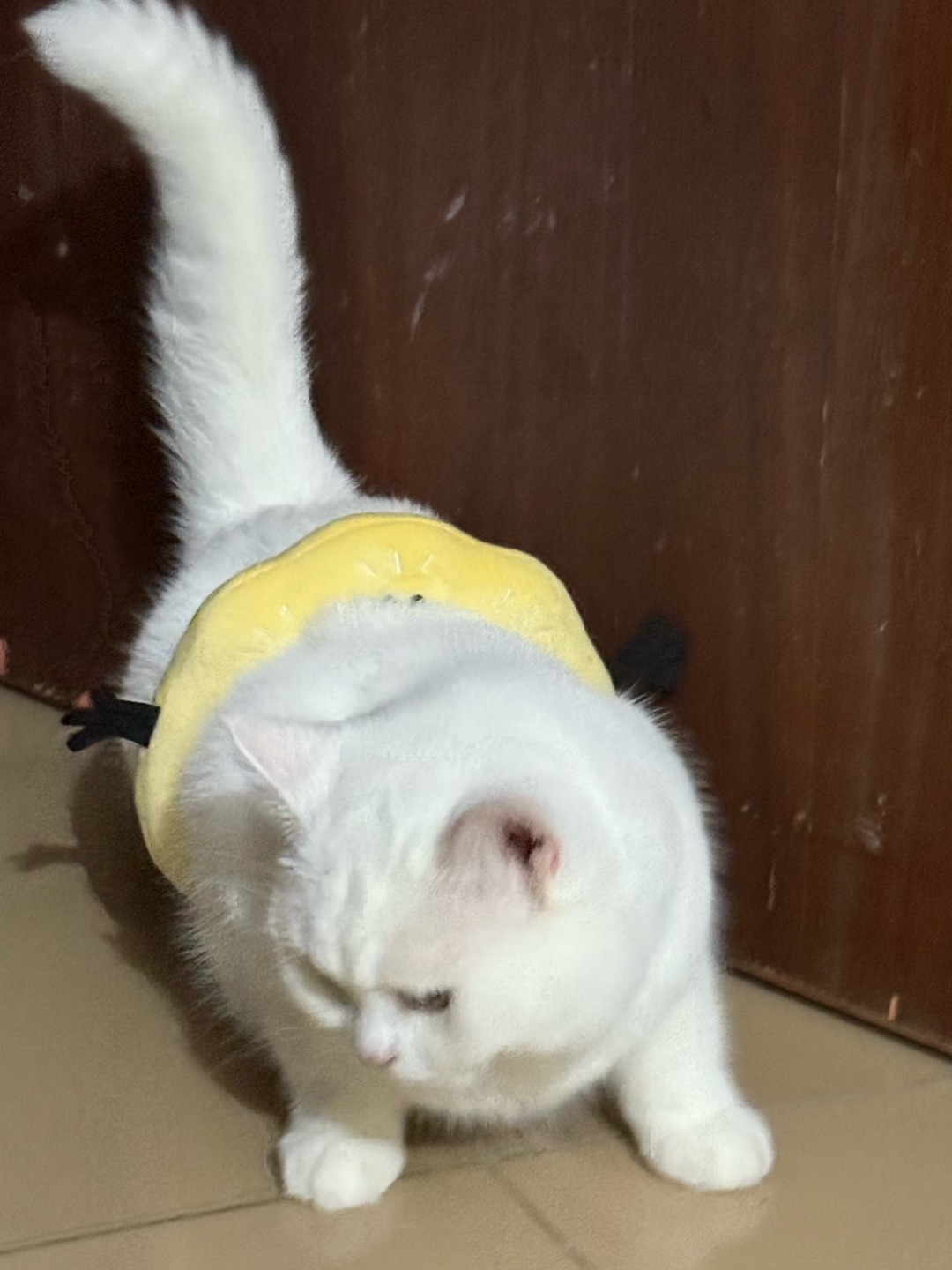 西五街