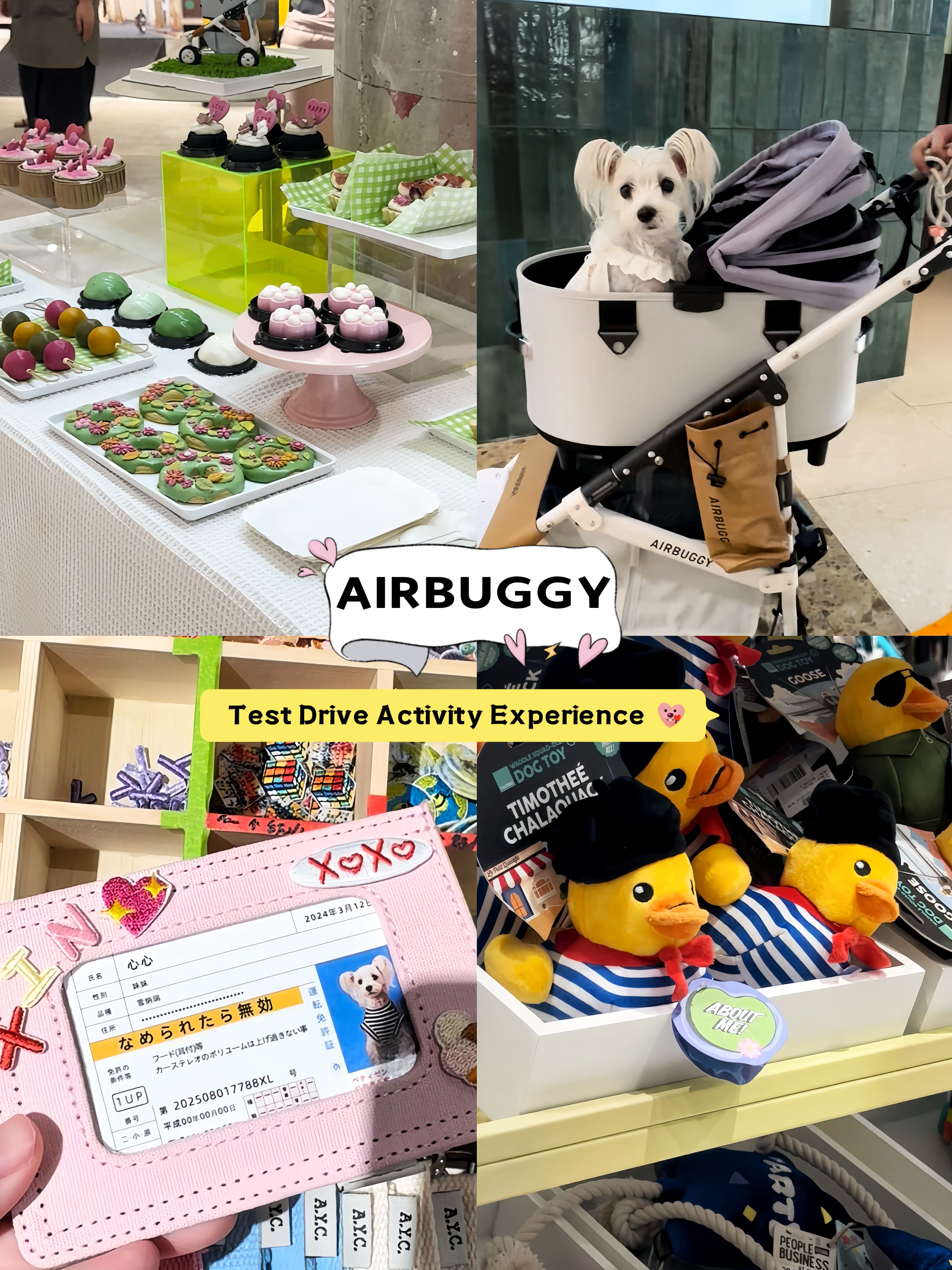 🐾狗狗派对！Airbuggy试驾治愈满满～