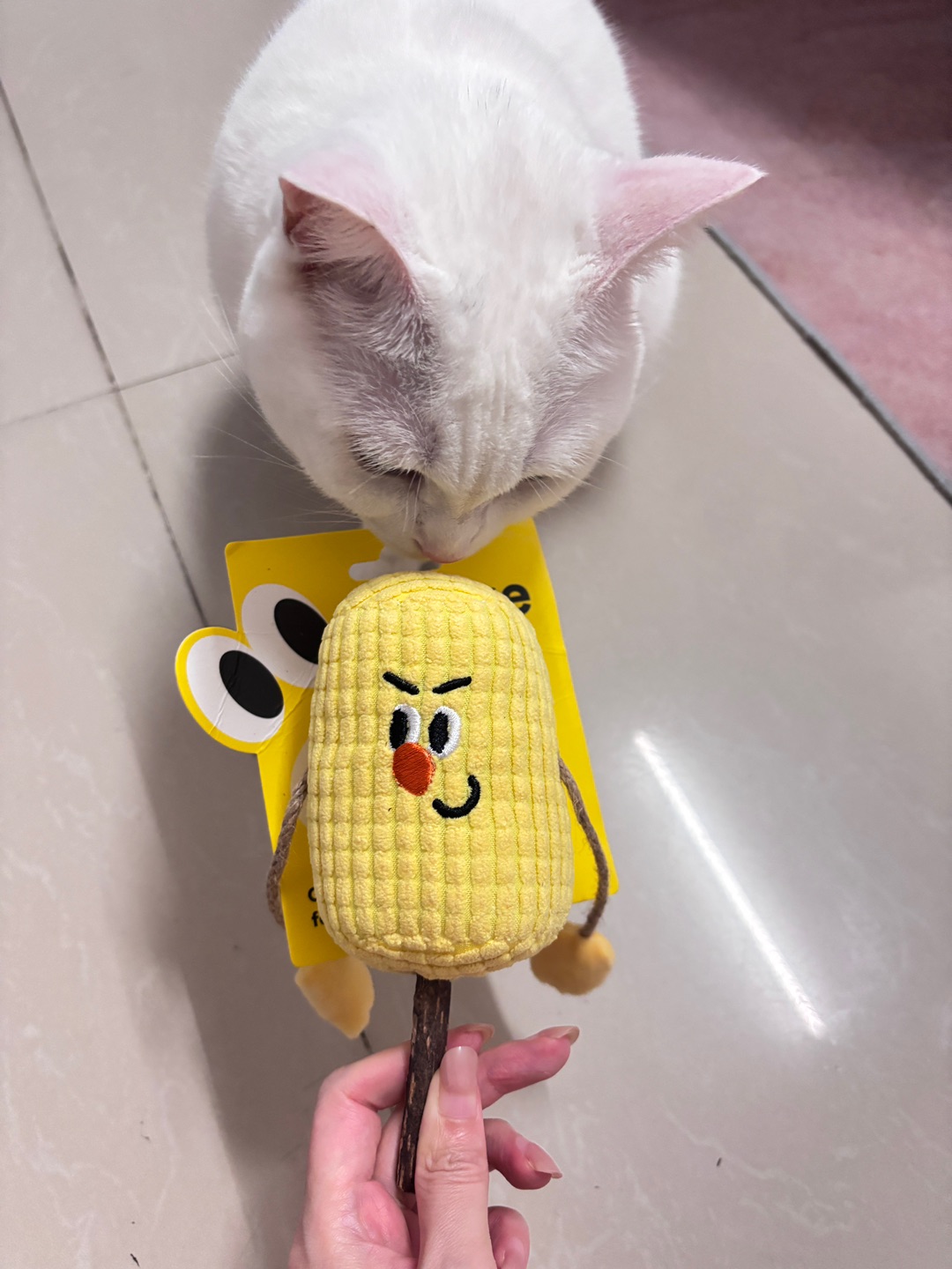 西五街