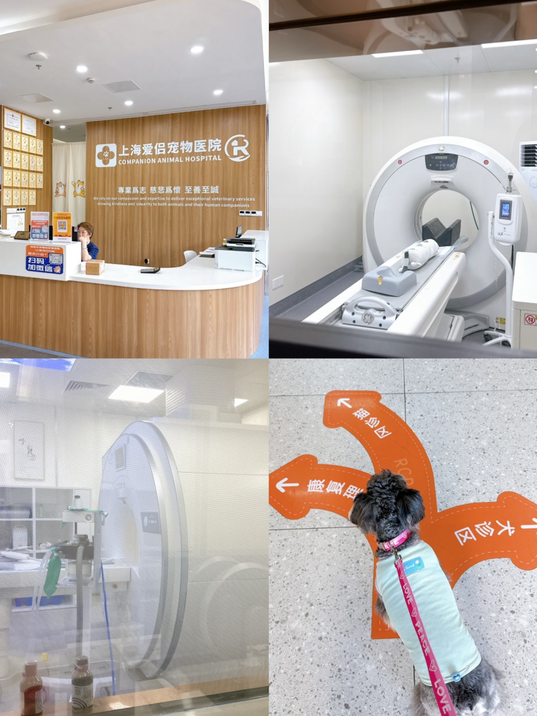 西五街