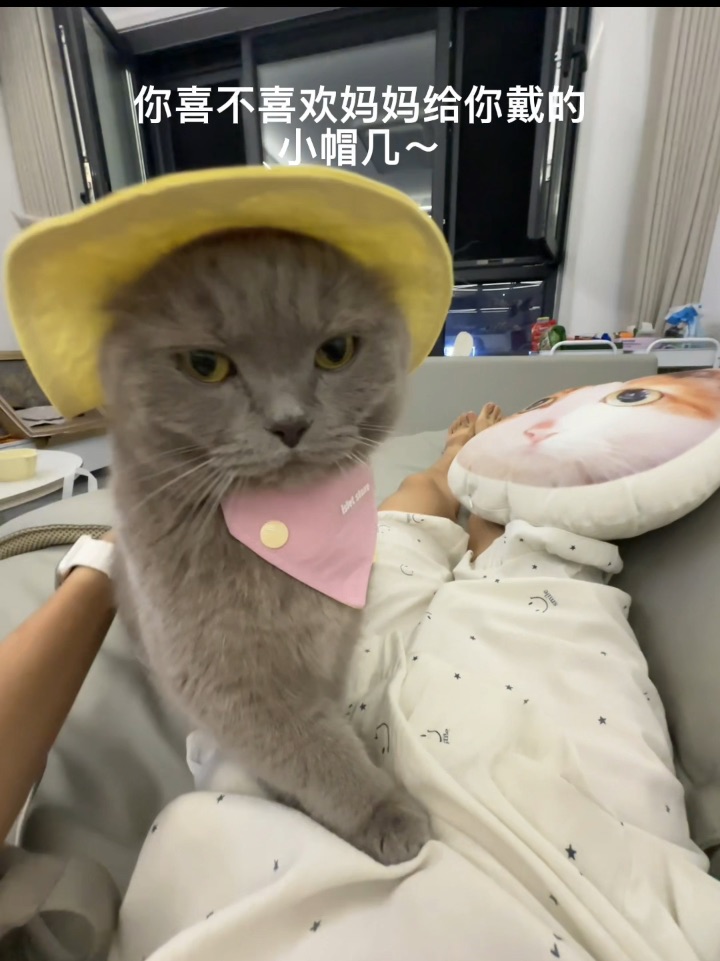 labubu：不高兴都写脸上了还问我喜不喜欢！