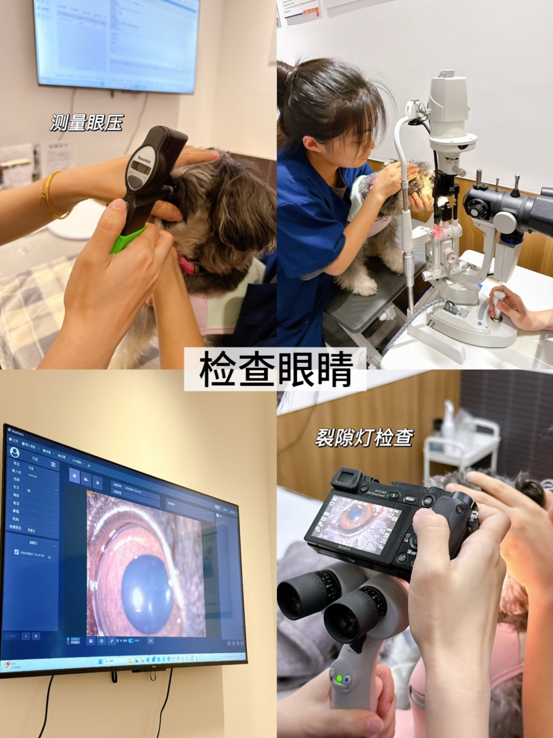 西五街