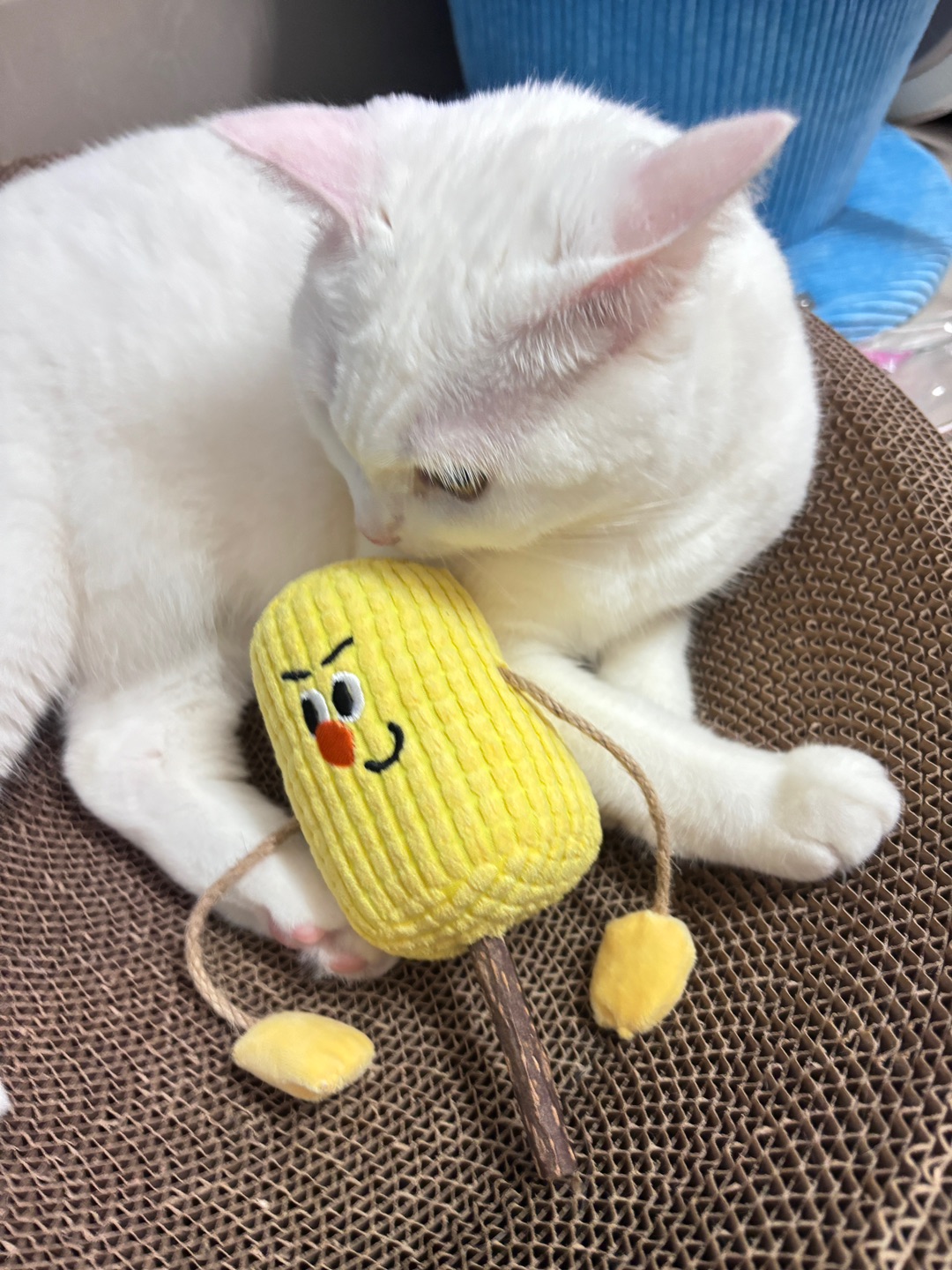 西五街