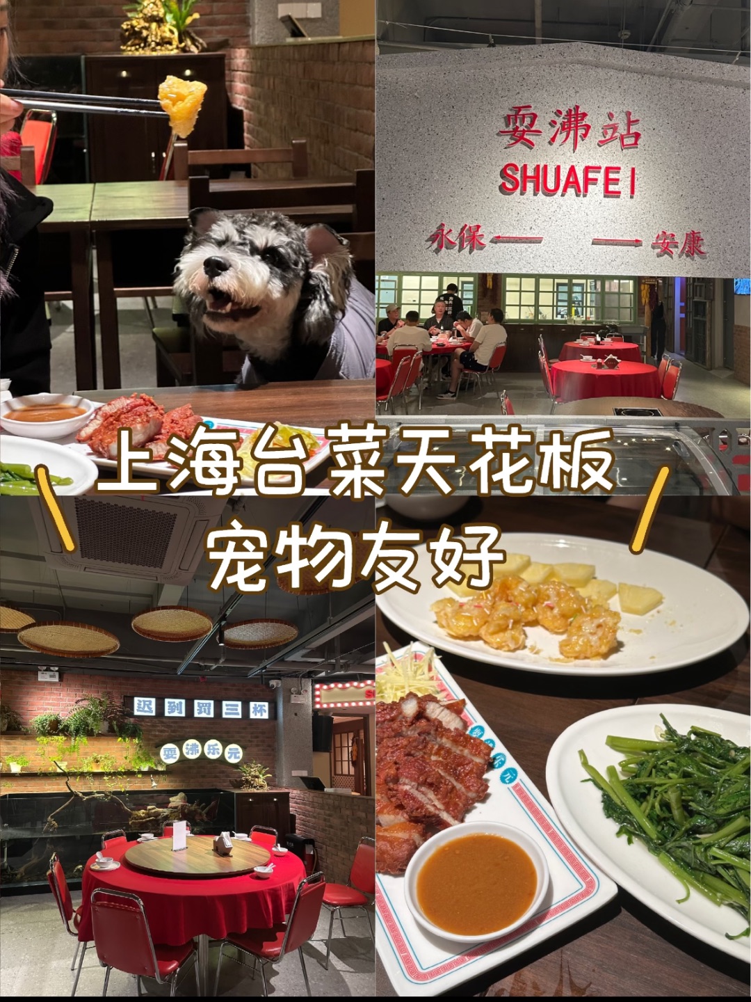 上海台菜天花板—耍沸乐元