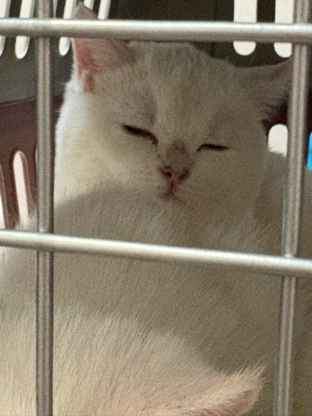 松弛