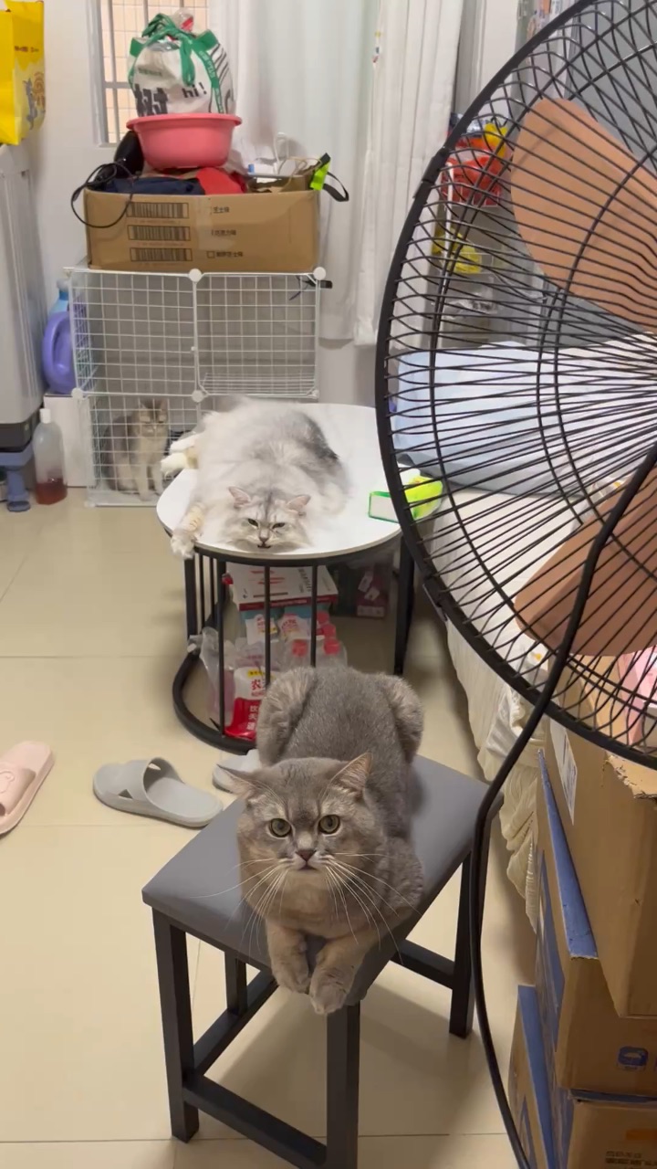 句句有回应❤️