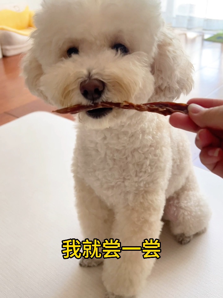 陌生人给我糖，不要白不要