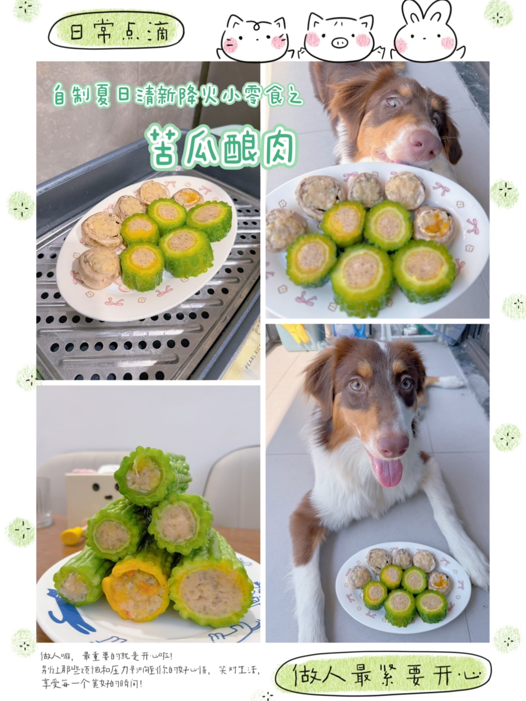 自制夏日清新降火小零食之“苦瓜酿肉”