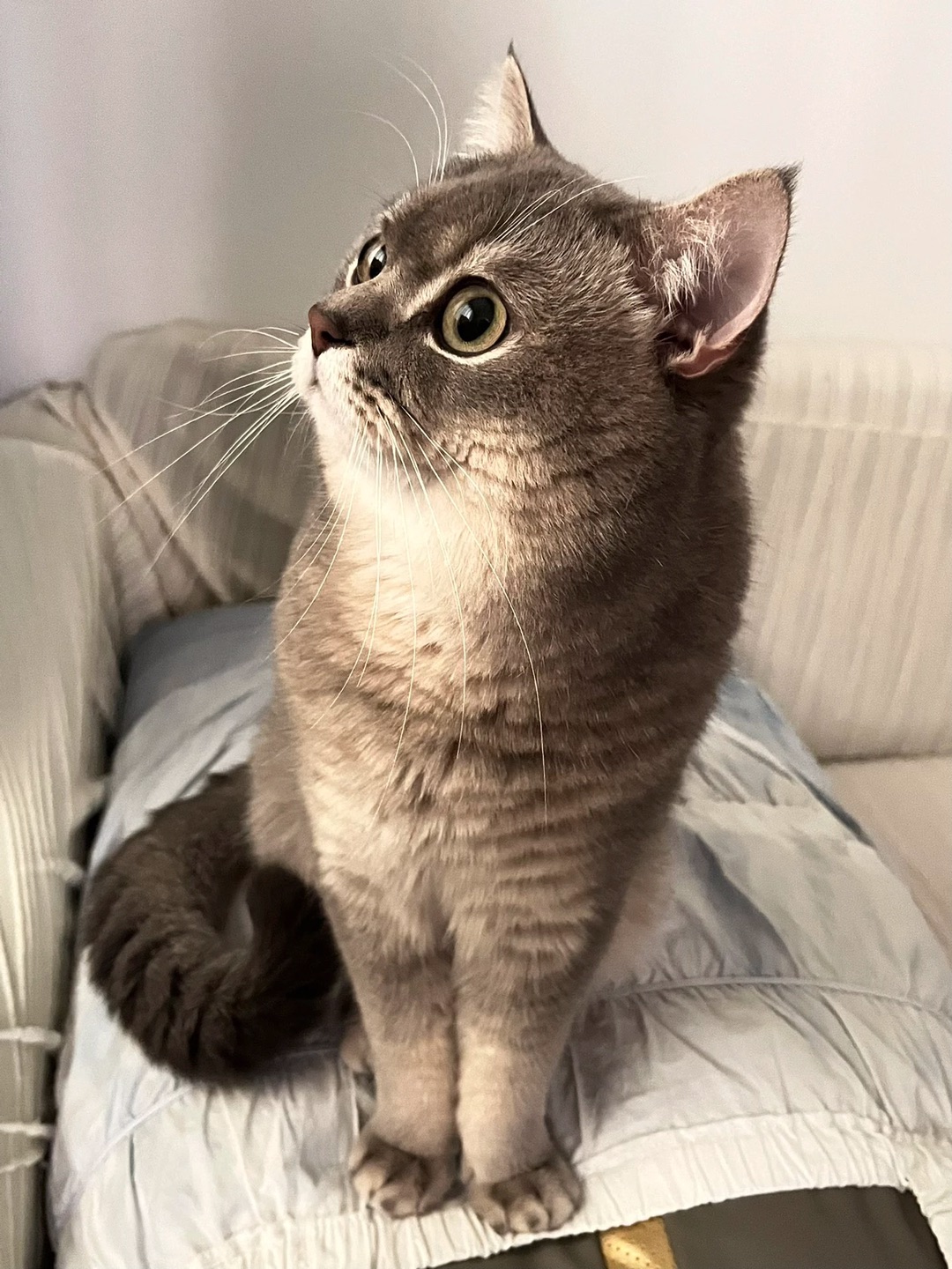 数数窗外的小鸟