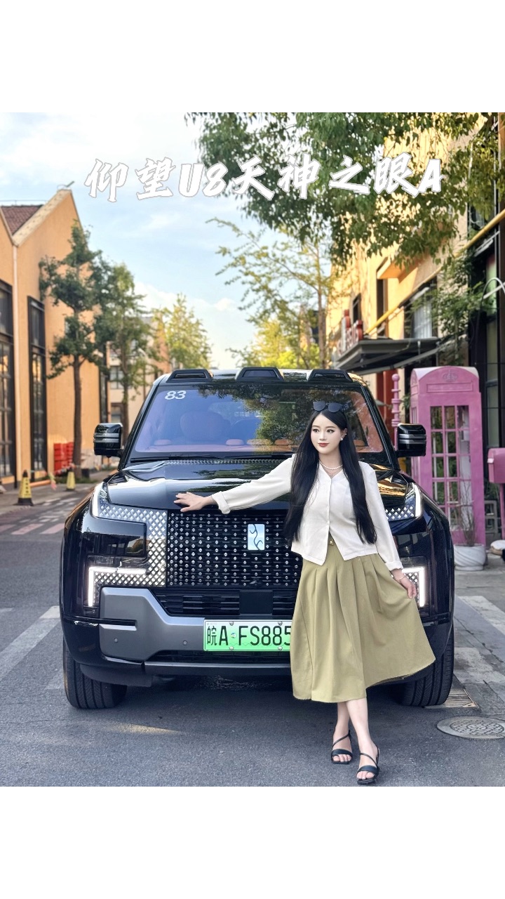 这仰望U8配着“天神之眼”，开着是真省心又得劲儿！#仰望u8 #天神之眼智能驾驶